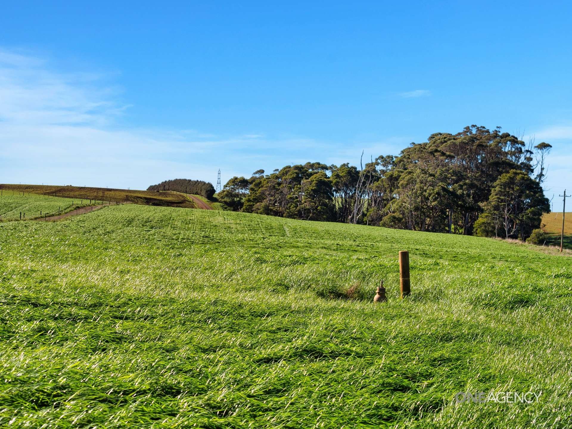 418 Back Line Road, Forest For Sale by Farmbuy.com - image 10