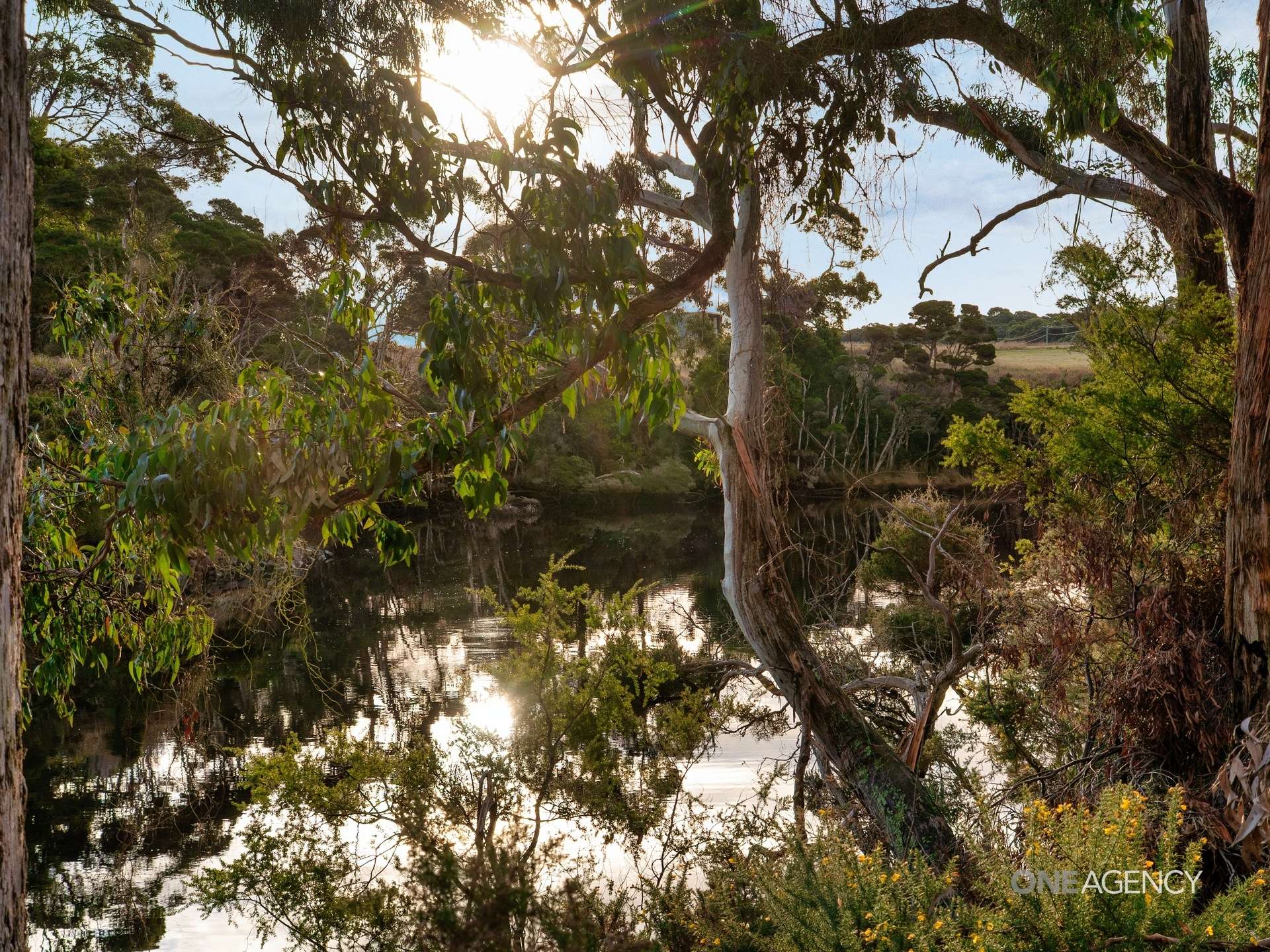 Lot 1 Boyndey Road, Black River For Sale by Farmbuy.com - image 15