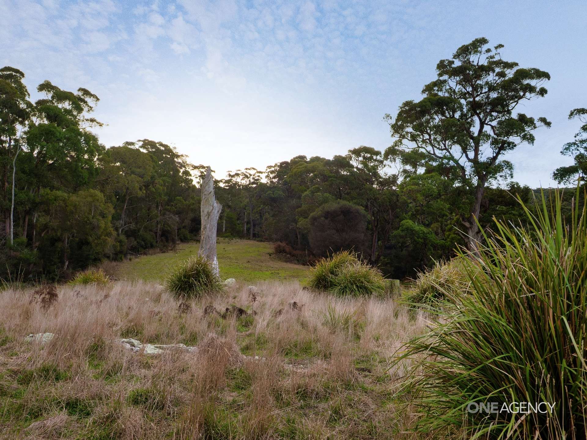 Lot 1 Boyndey Road, Black River For Sale by Farmbuy.com - image 7