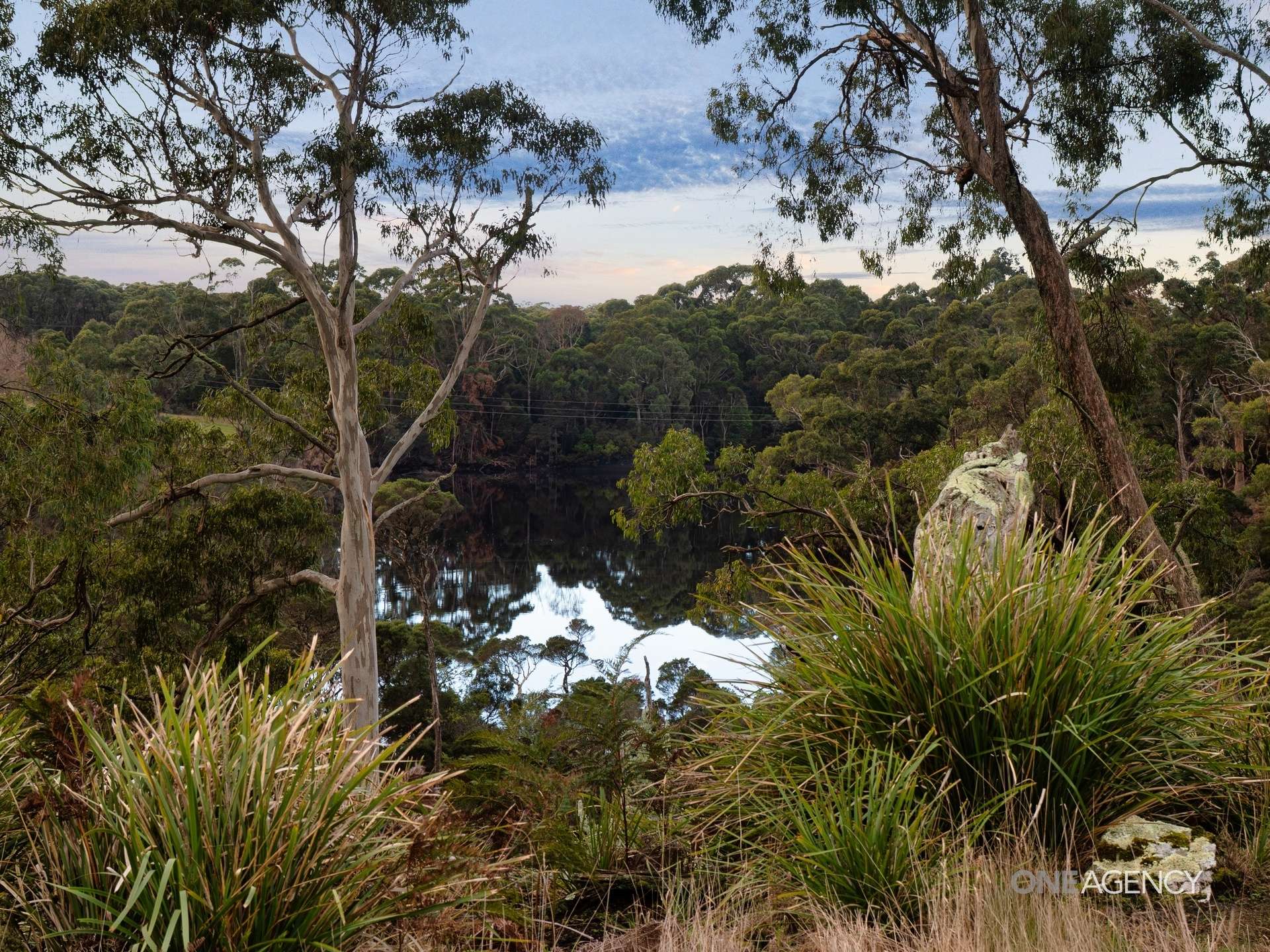 Lot 1 Boyndey Road, Black River For Sale by Farmbuy.com - image 10