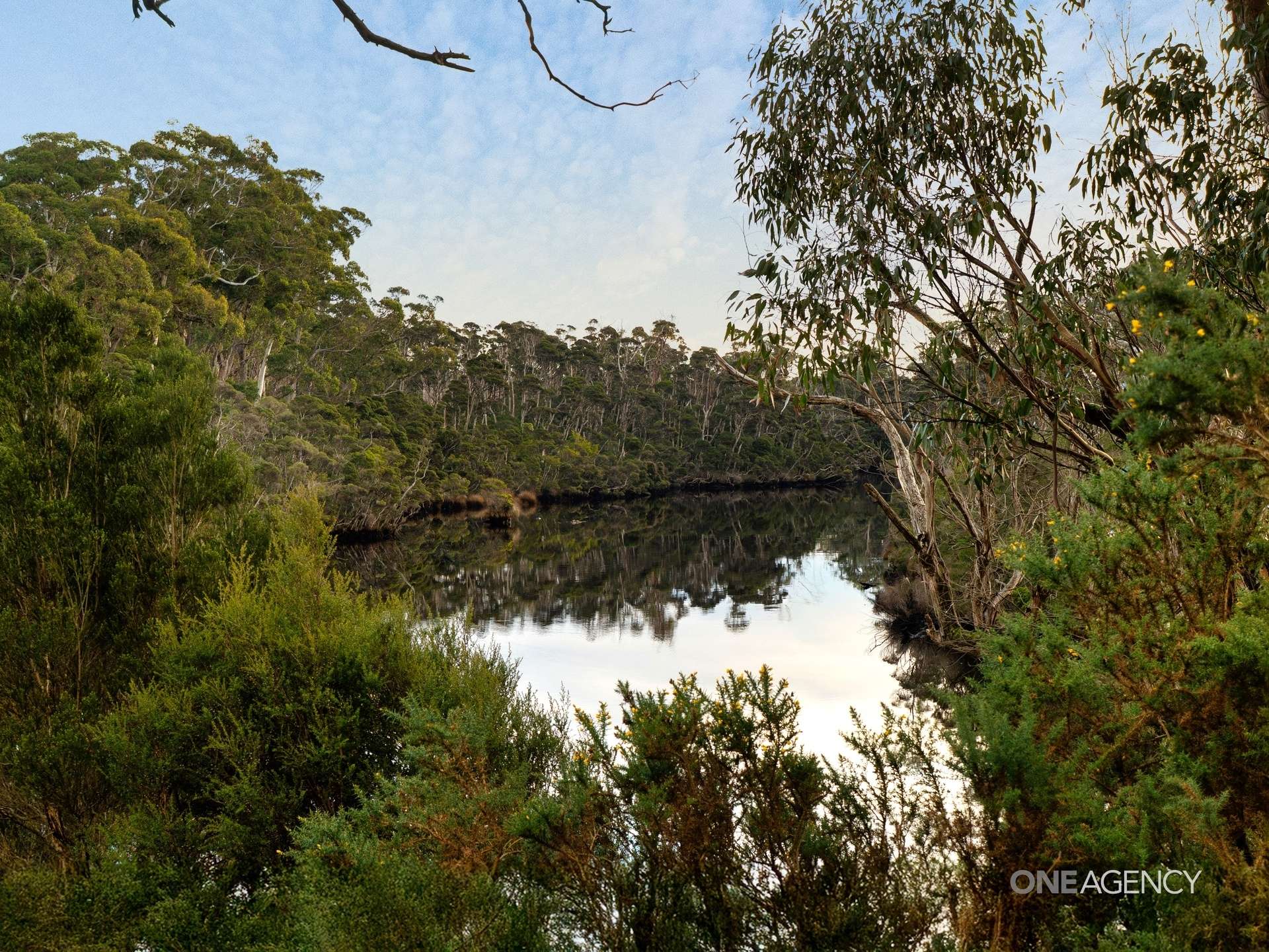 Lot 1 Boyndey Road, Black River For Sale by Farmbuy.com - image 13