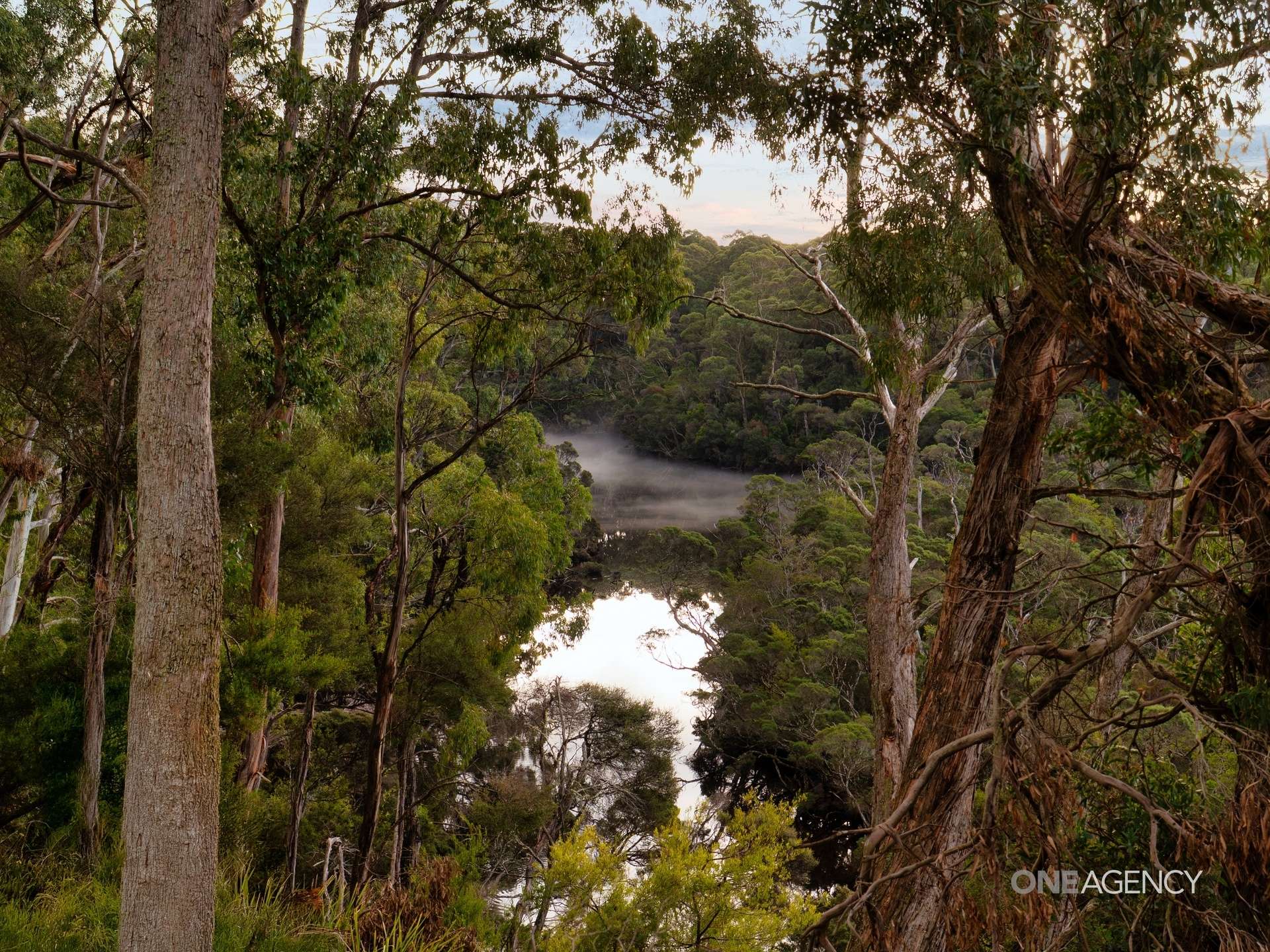 Lot 1 Boyndey Road, Black River For Sale by Farmbuy.com - image 11