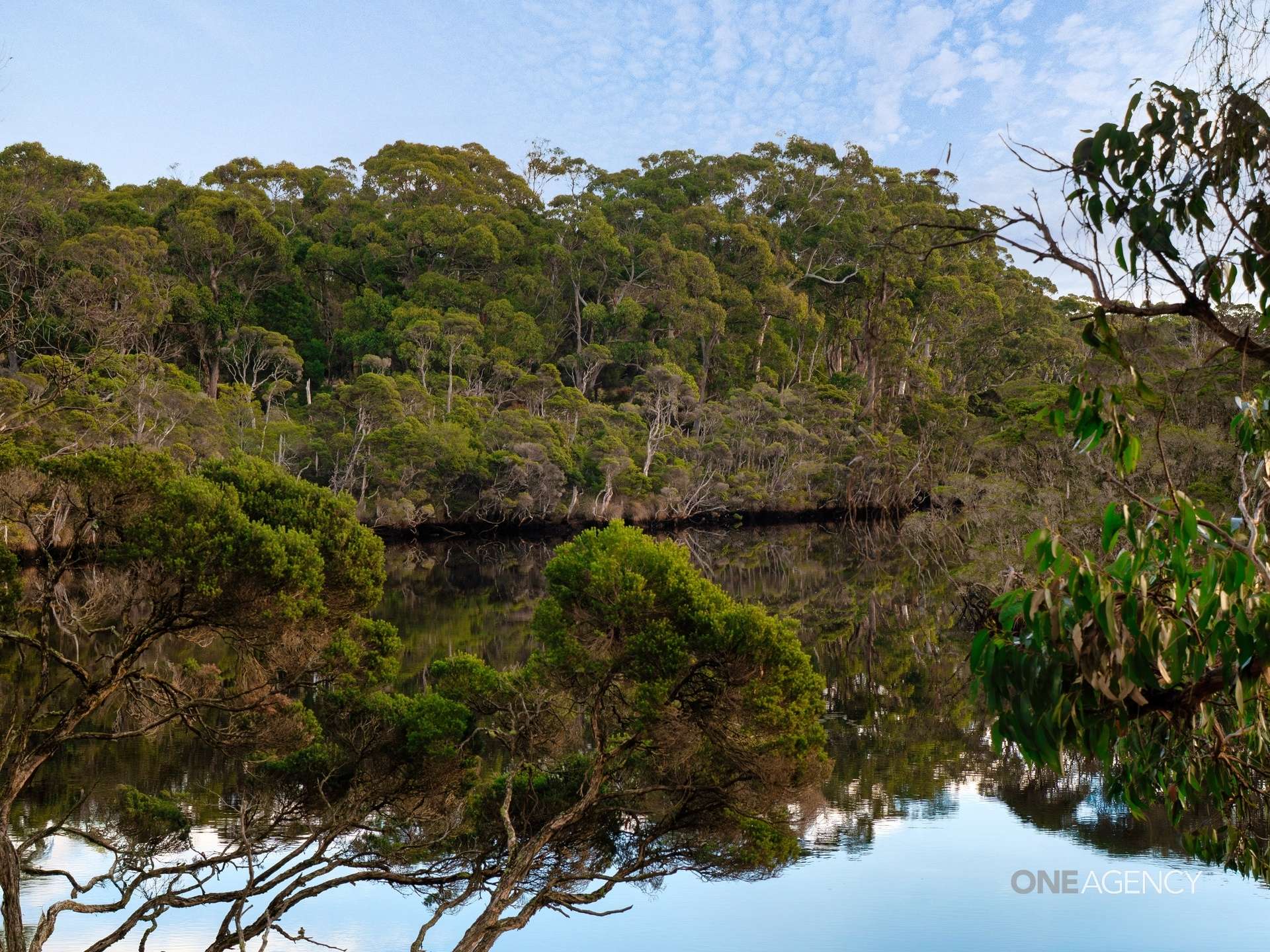 Lot 1 Boyndey Road, Black River For Sale by Farmbuy.com - image 14