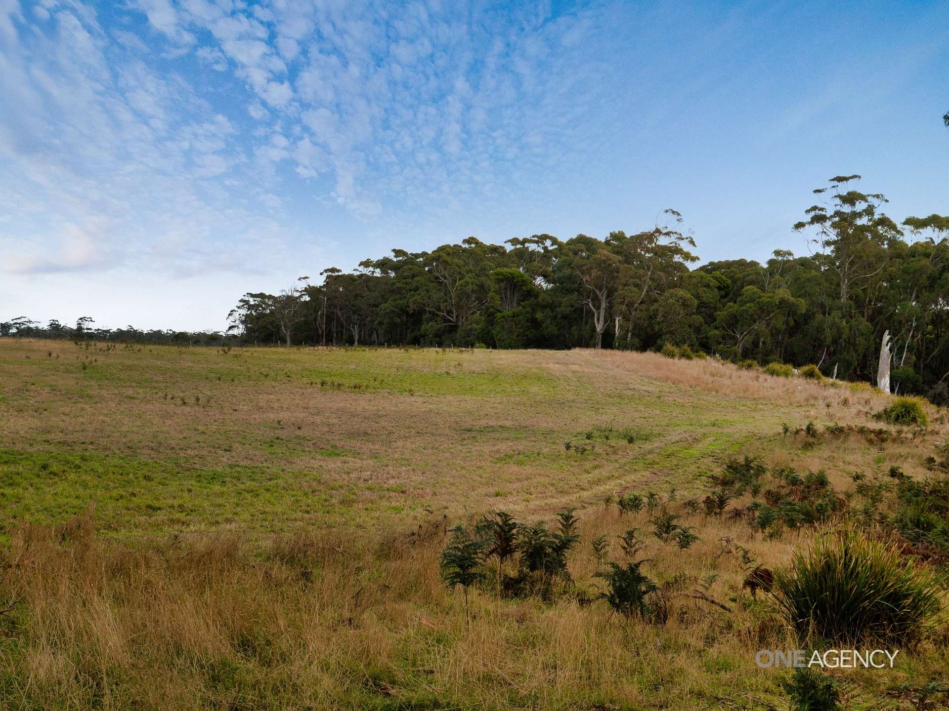 Lot 1 Boyndey Road, Black River For Sale by Farmbuy.com - image 6
