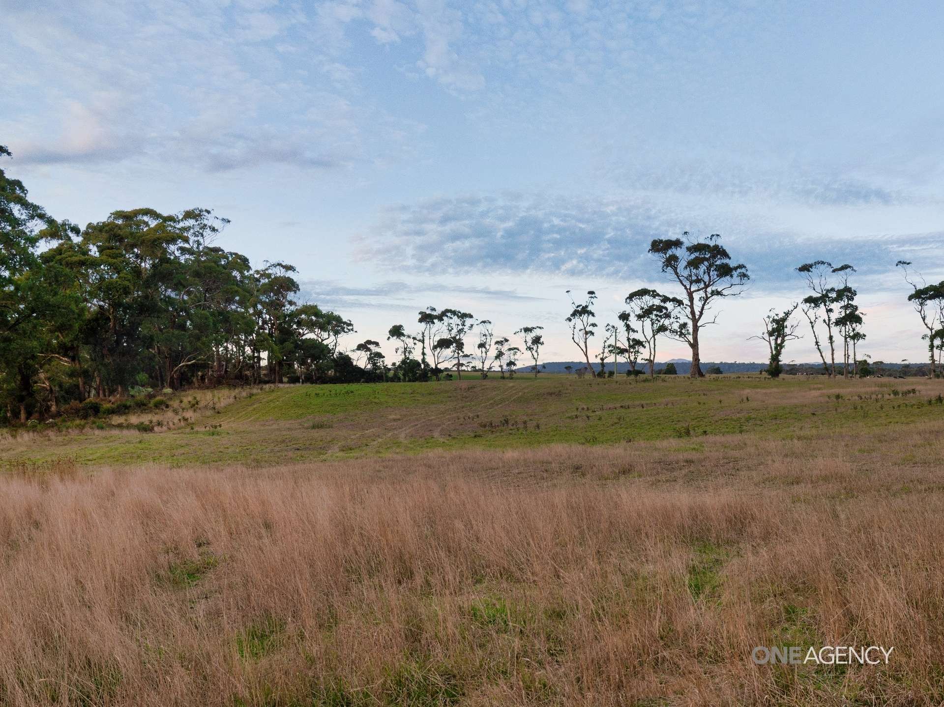 Lot 1 Boyndey Road, Black River For Sale by Farmbuy.com - image 5