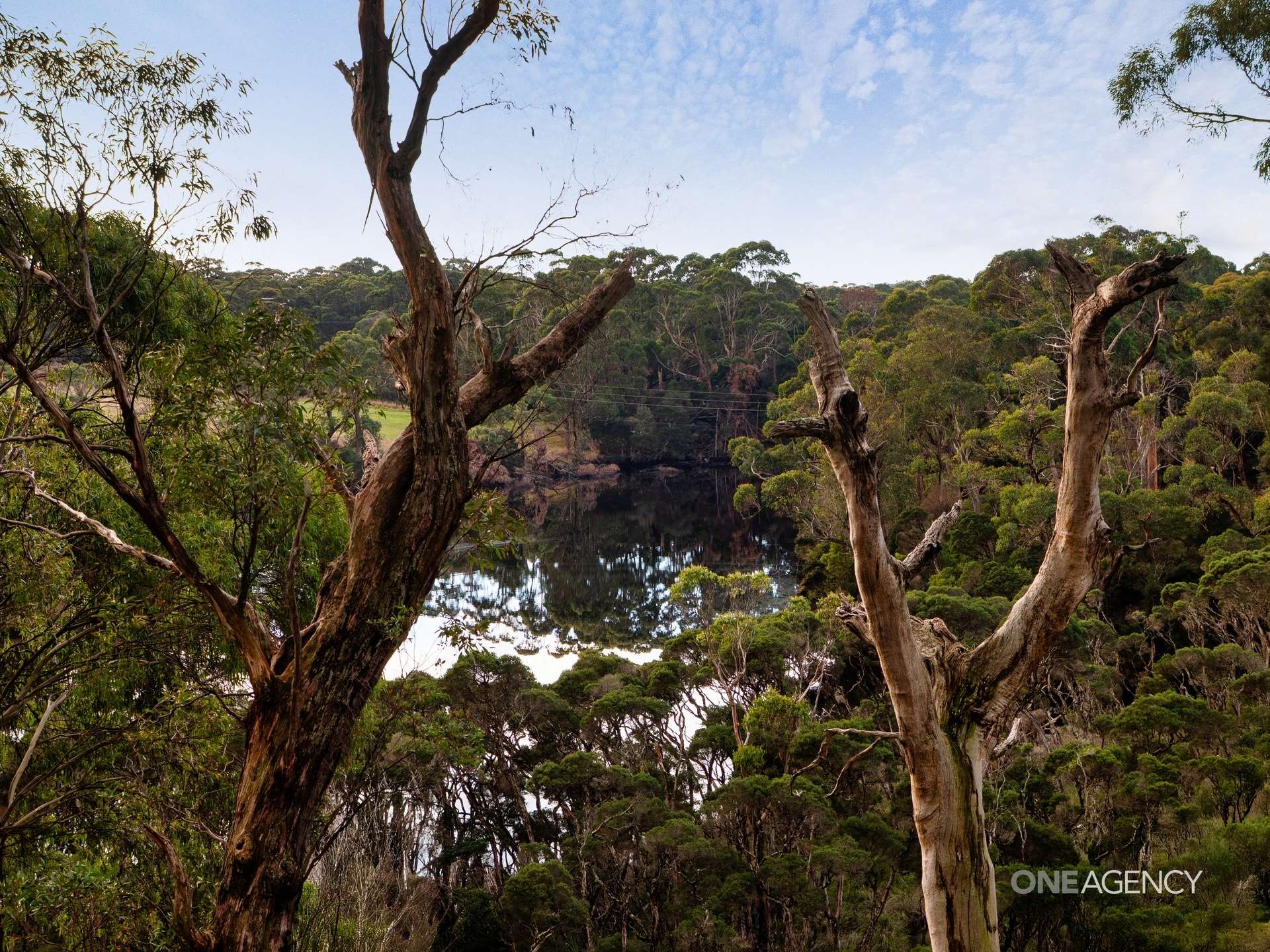 Lot 1 Boyndey Road, Black River For Sale by Farmbuy.com - image 12
