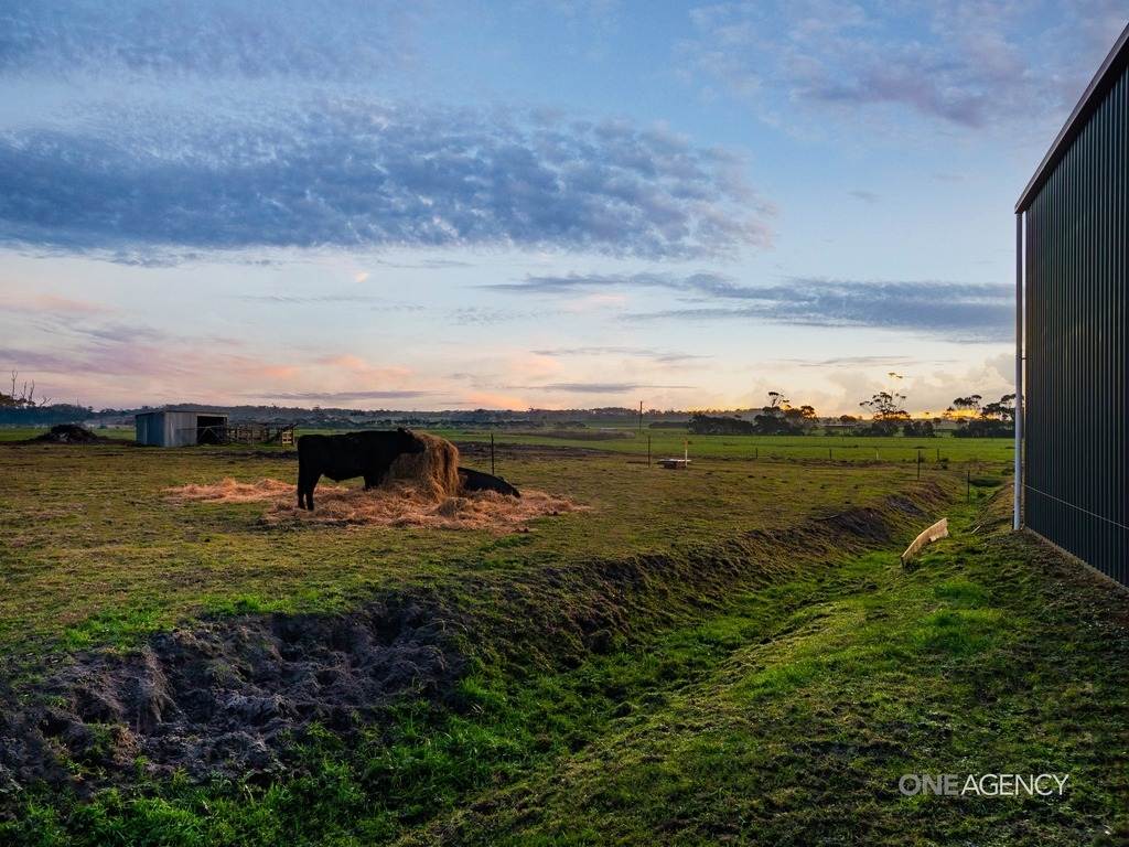 549 Montagu Road, Smithton For Sale by Farmbuy.com - image 21