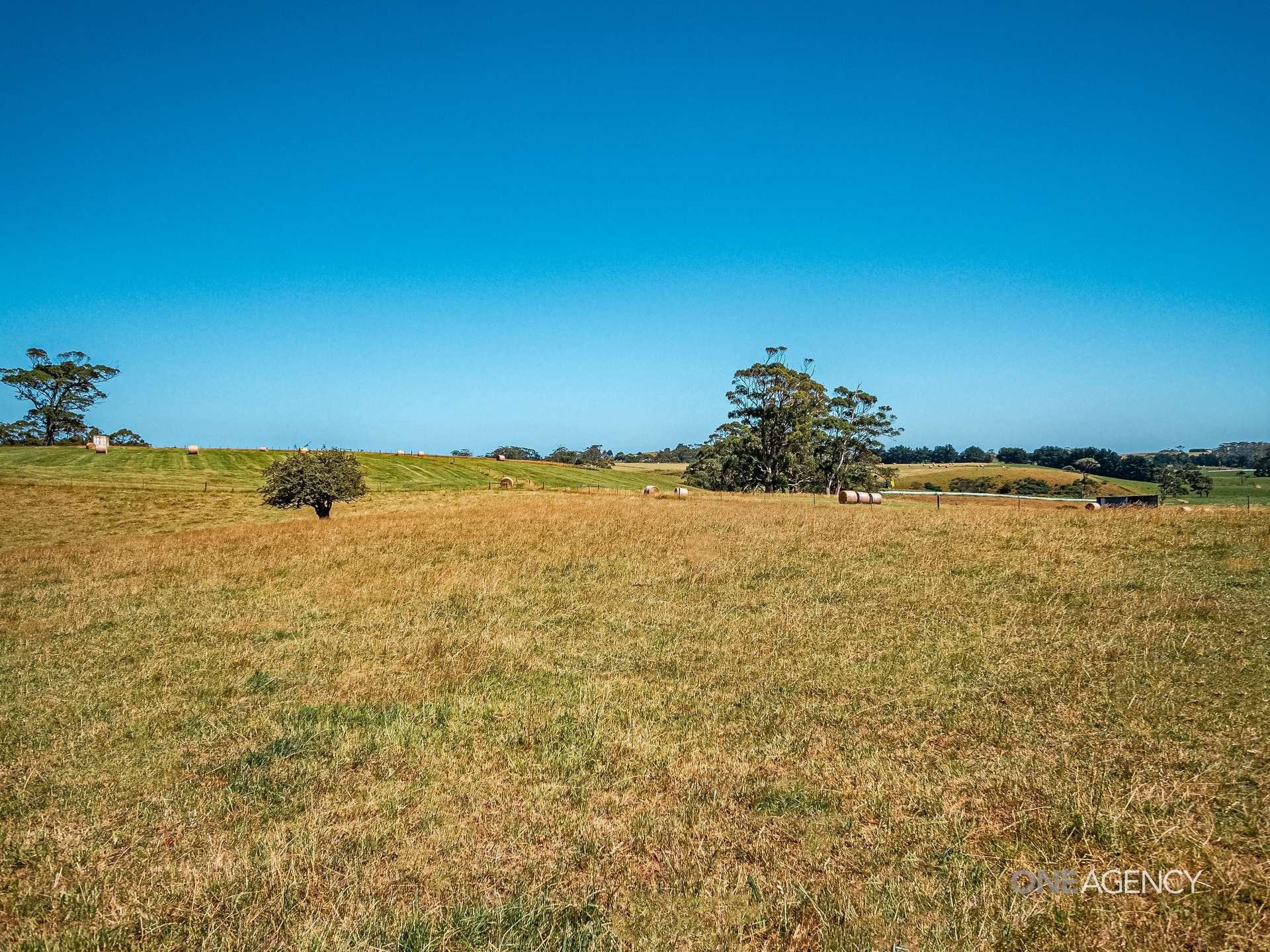 310 Irishtown Road, Smithton For Sale by Farmbuy.com - image 17