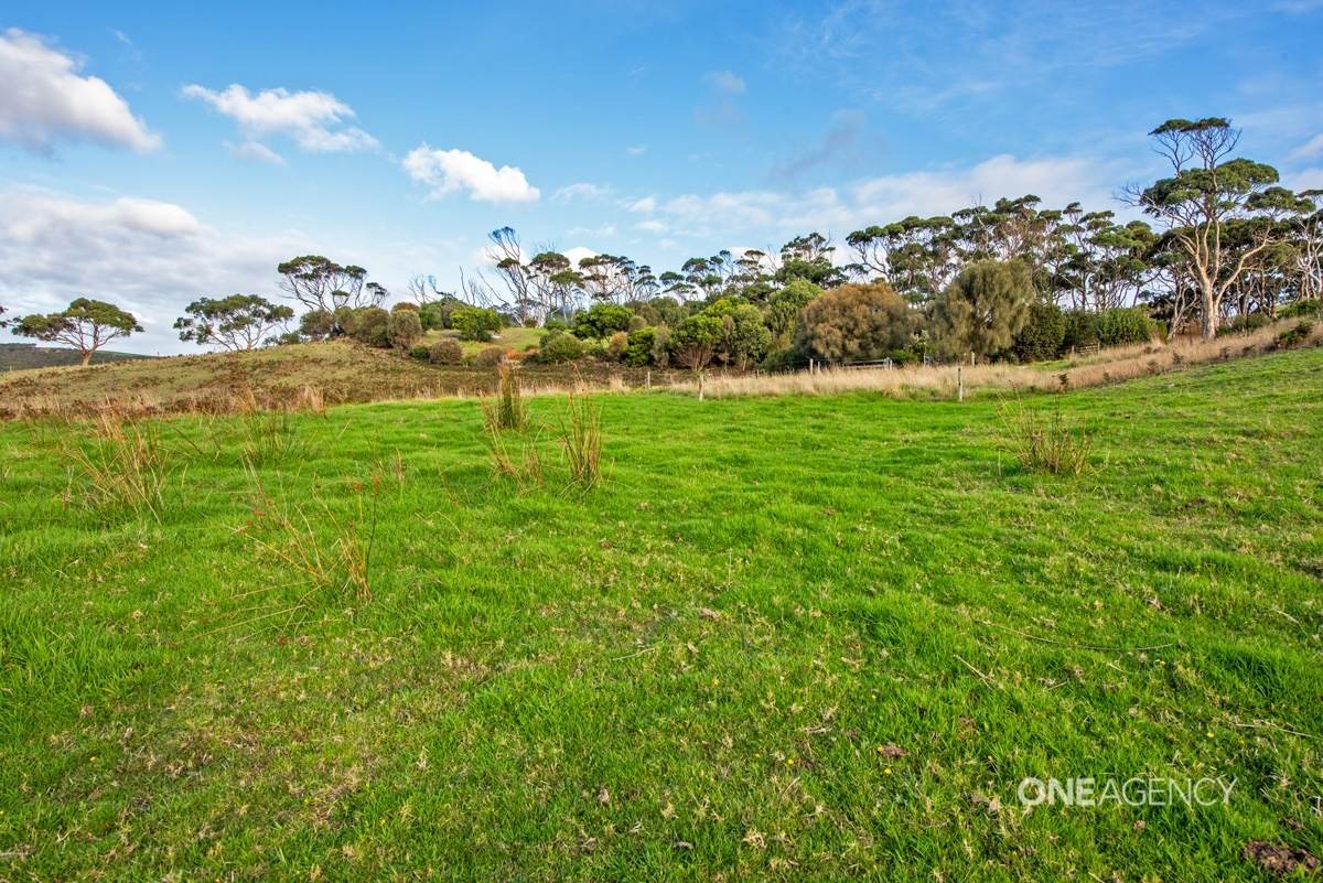 213 Green Point Road, Marrawah For Sale by Farmbuy.com - image 5
