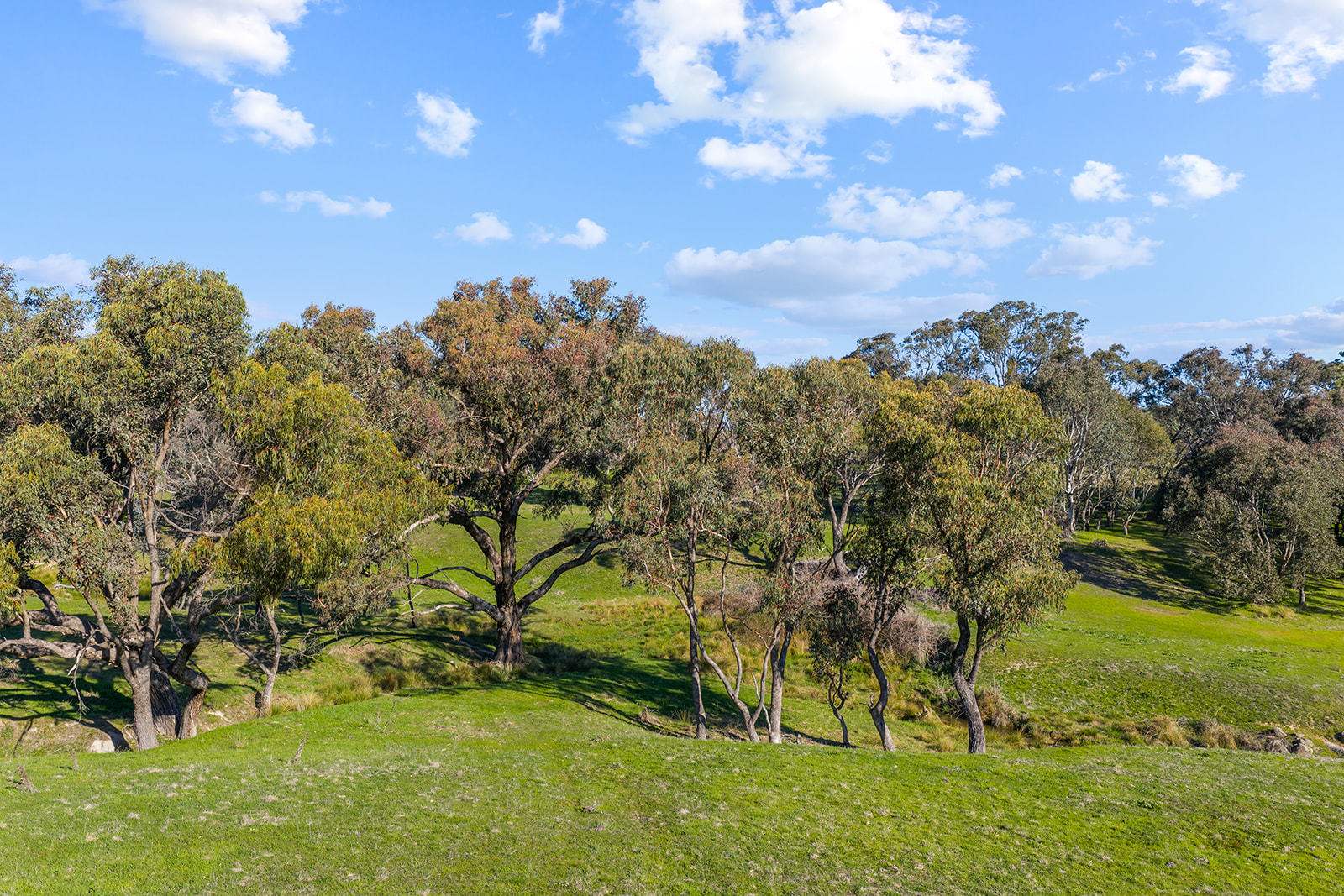 1432 Lachlan Valley Way, Laverstock For Sale by Farmbuy.com - image 26