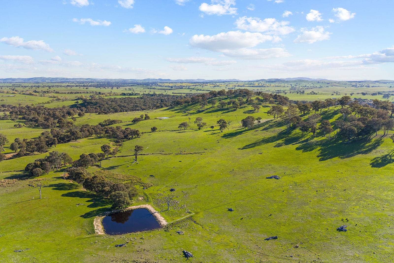 1432 Lachlan Valley Way, Laverstock For Sale by Farmbuy.com - image 35