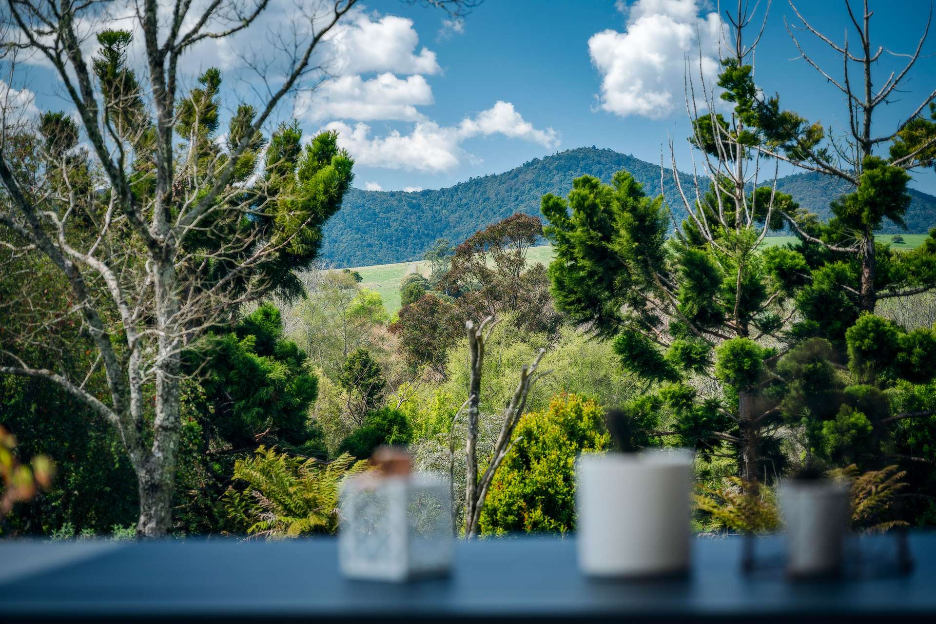 9 Tamarind Avenue, Dorrigo Sold by Farmbuy.com - image 21