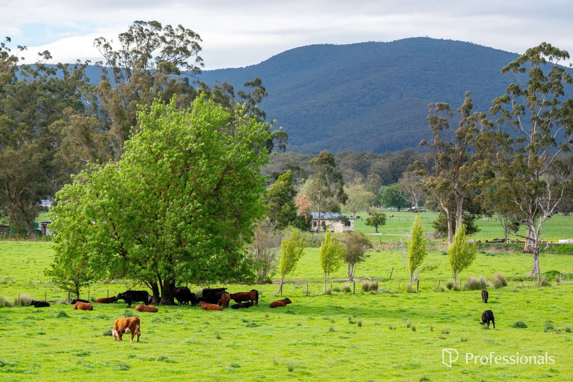 230 Station Road, Wesburn For Sale by Farmbuy.com - image 34