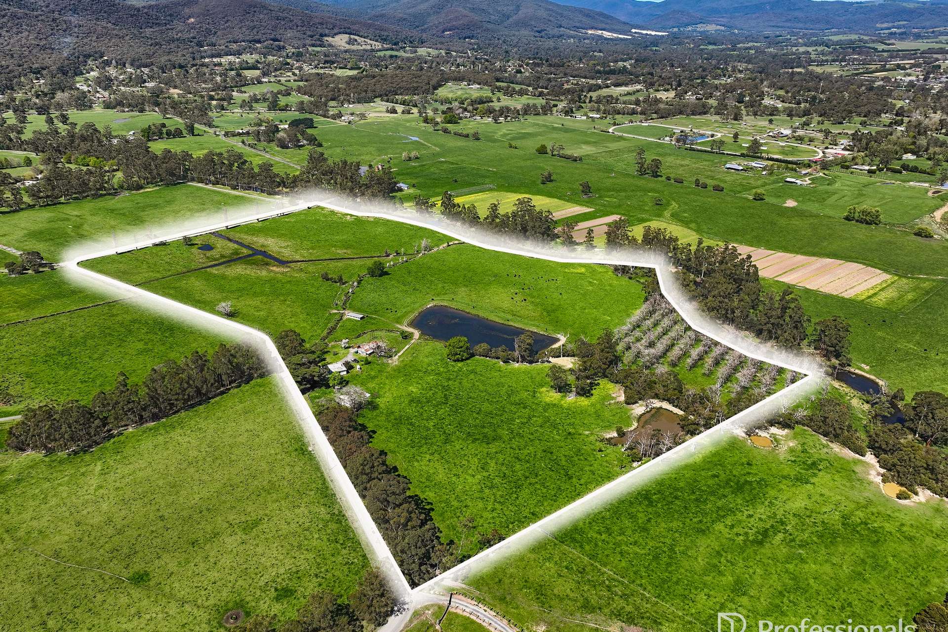230 Station Road, Wesburn For Sale by Farmbuy.com - image 4
