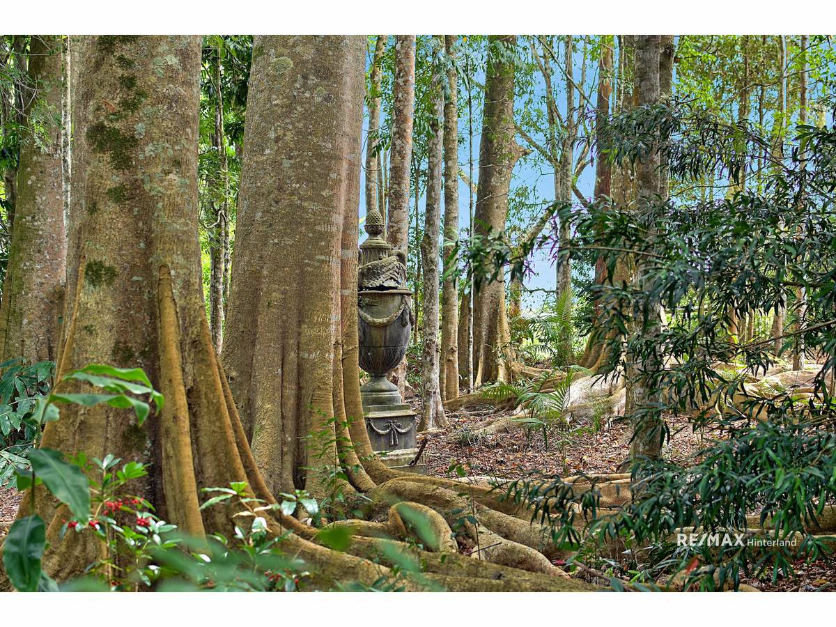 38 Thynne Court, Maleny For Sale by Farmbuy.com - image 34
