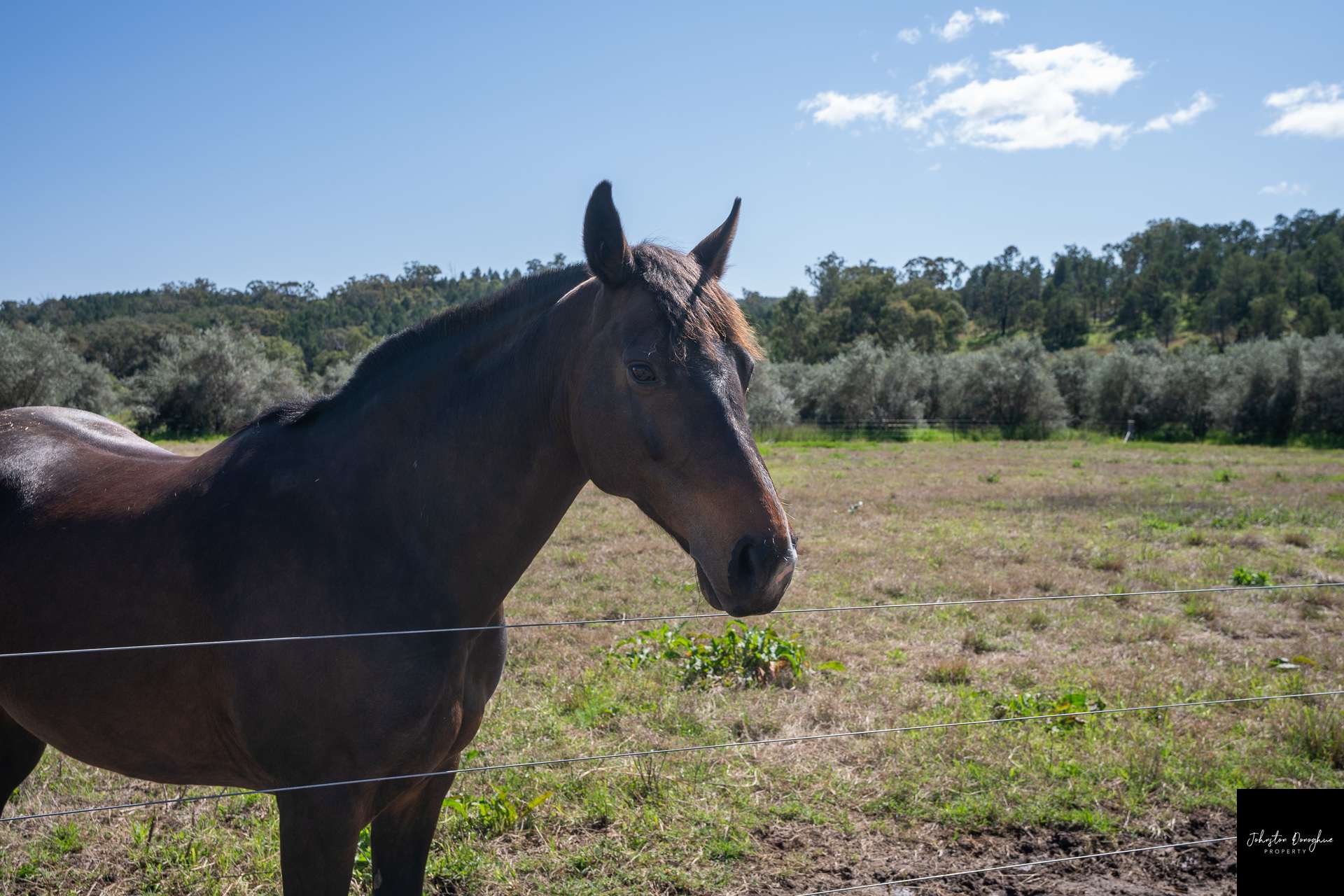 2781 Kamilaroi Highway, Quirindi Sold by Farmbuy.com - image 17