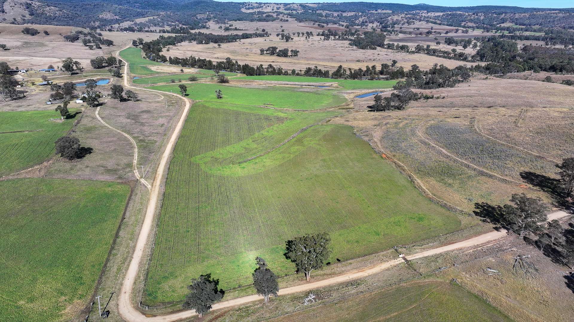 643 Silvermines Road, Elsmore Sold by Farmbuy.com - image 6