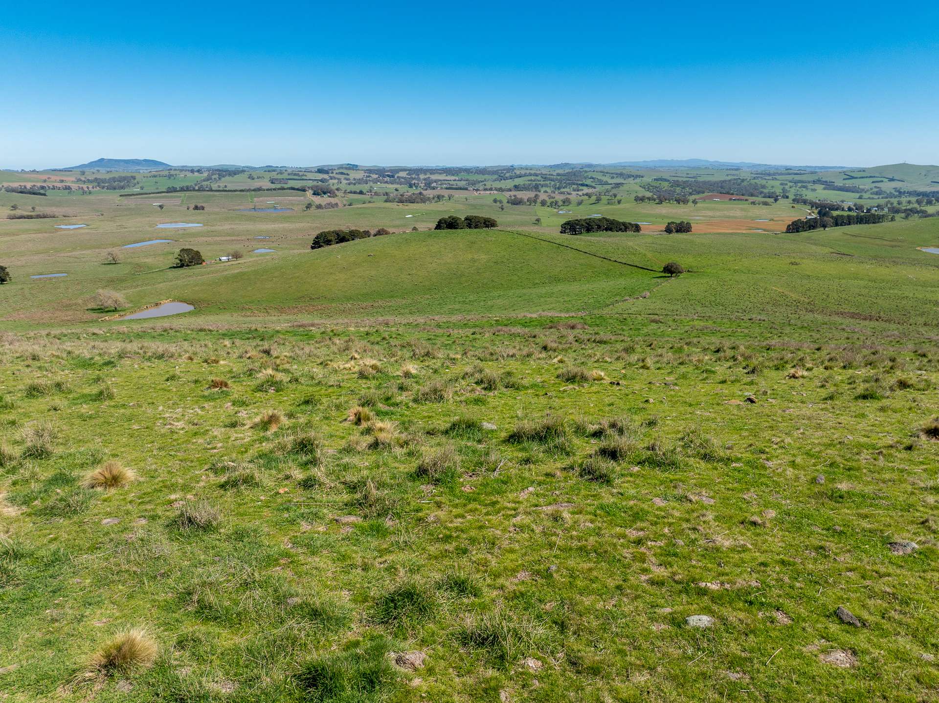 242 Bundaleer Road, Newbridge For Sale by Farmbuy.com - image 2