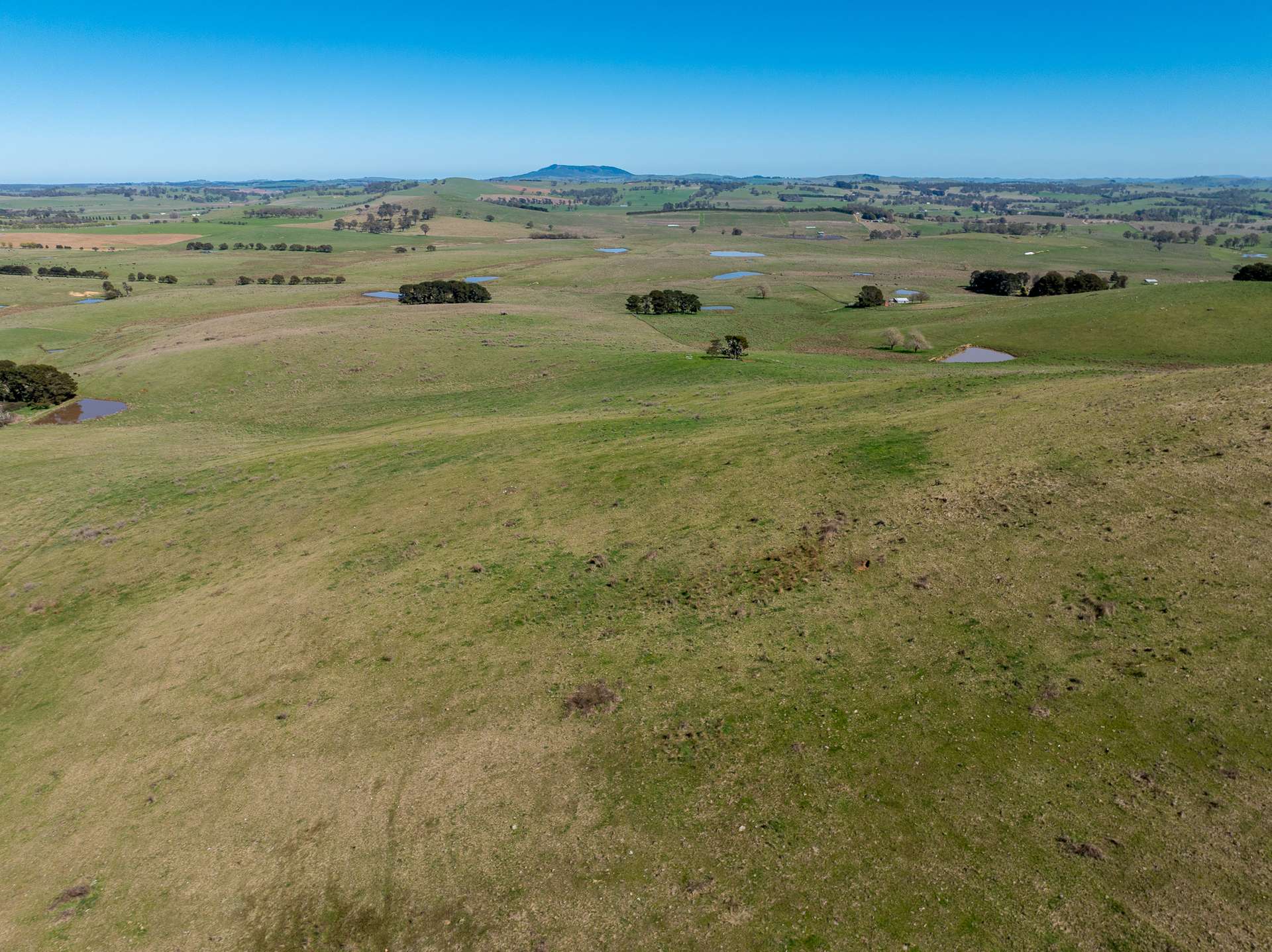 242 Bundaleer Road, Newbridge For Sale by Farmbuy.com - image 18
