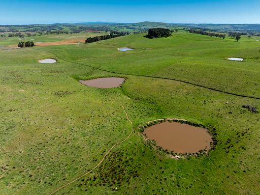 242 Bundaleer Road, Newbridge NSW 2795