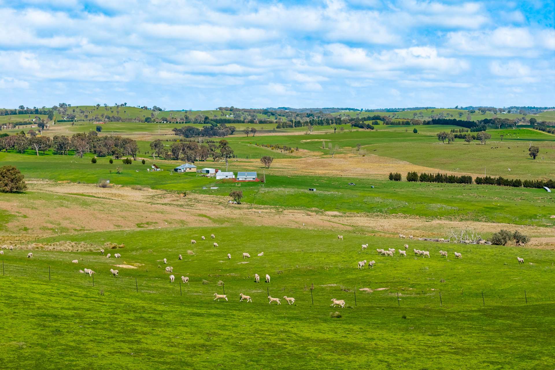 1702 Binda Road, Binda Via, Crookwell Sold by Farmbuy.com - image 3