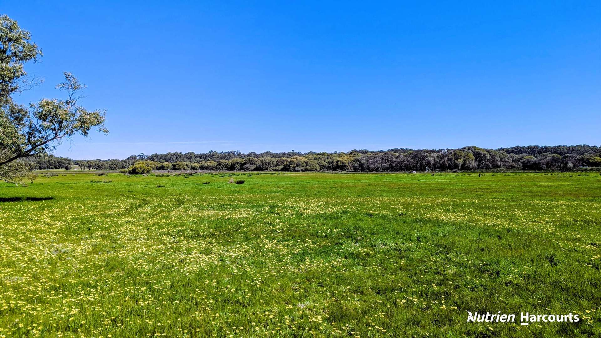 Lot 52 Cowalla Road, Cowalla For Sale by Farmbuy.com - image 22
