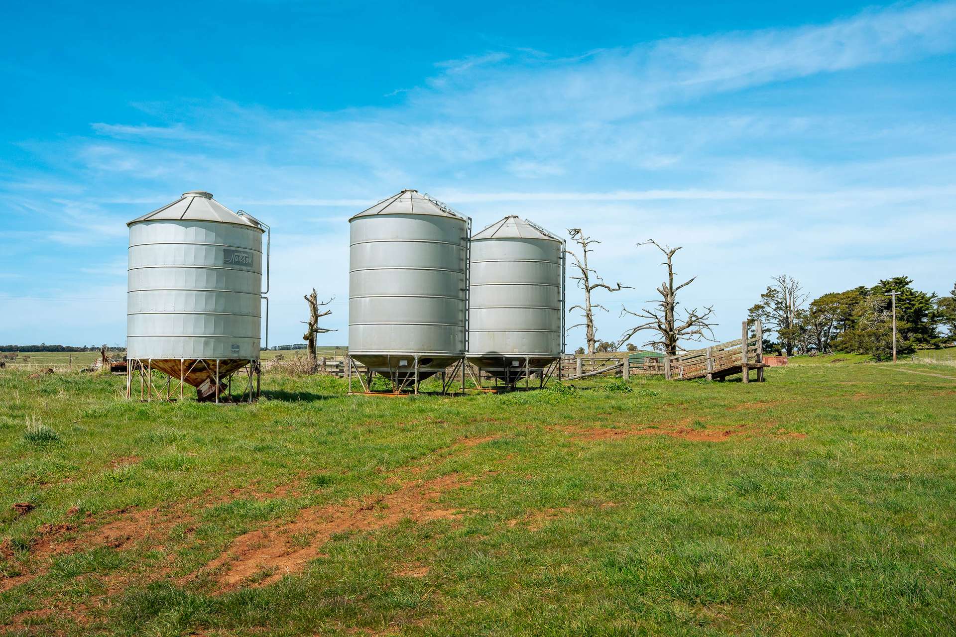 30 Hillcrest Road, Myrtleville Via, Goulburn For Sale by Farmbuy.com - image 4