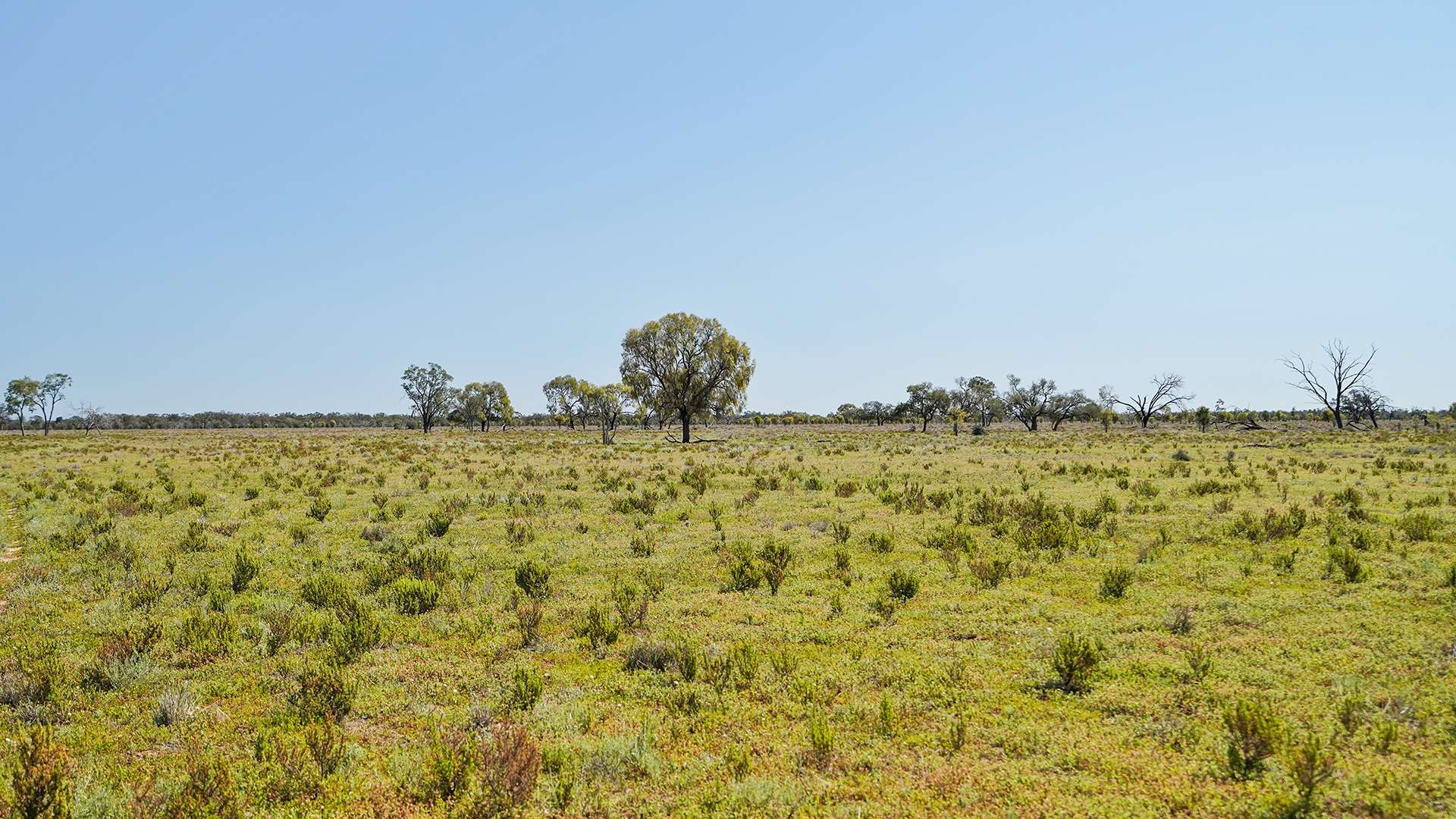 'Strathcona' 1378 Keewong Lane, Coonamble For Sale by Farmbuy.com - image 2