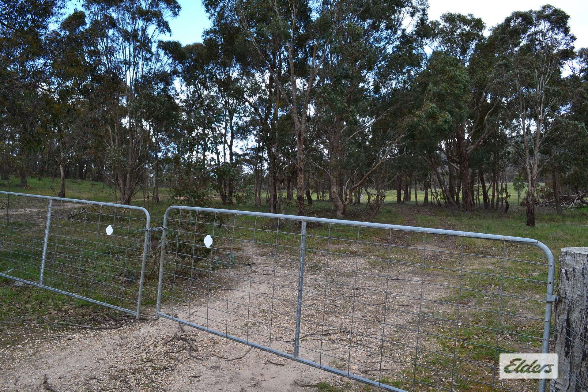 552 Spring Flat Road, Crowlands Sold by Farmbuy.com - image 21