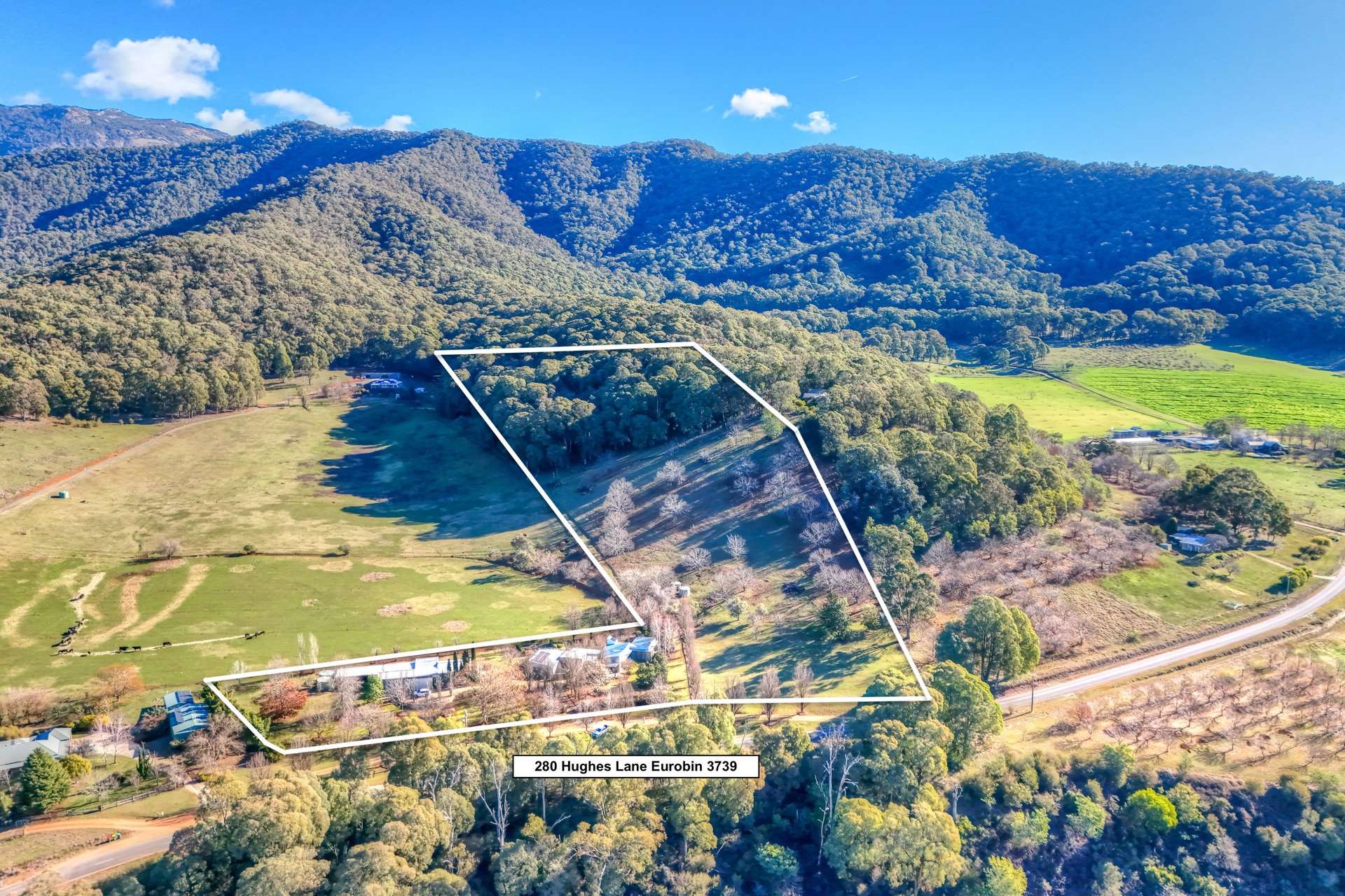 280 Hughes Lane, Eurobin For Sale by Farmbuy.com - image 30