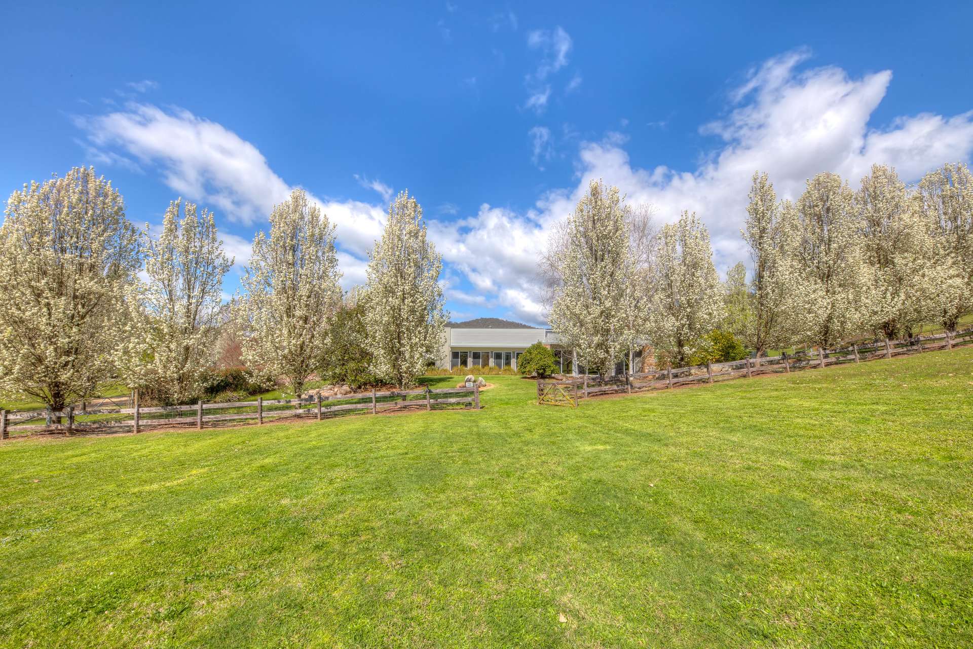 280 Hughes Lane, Eurobin For Sale by Farmbuy.com - image 24
