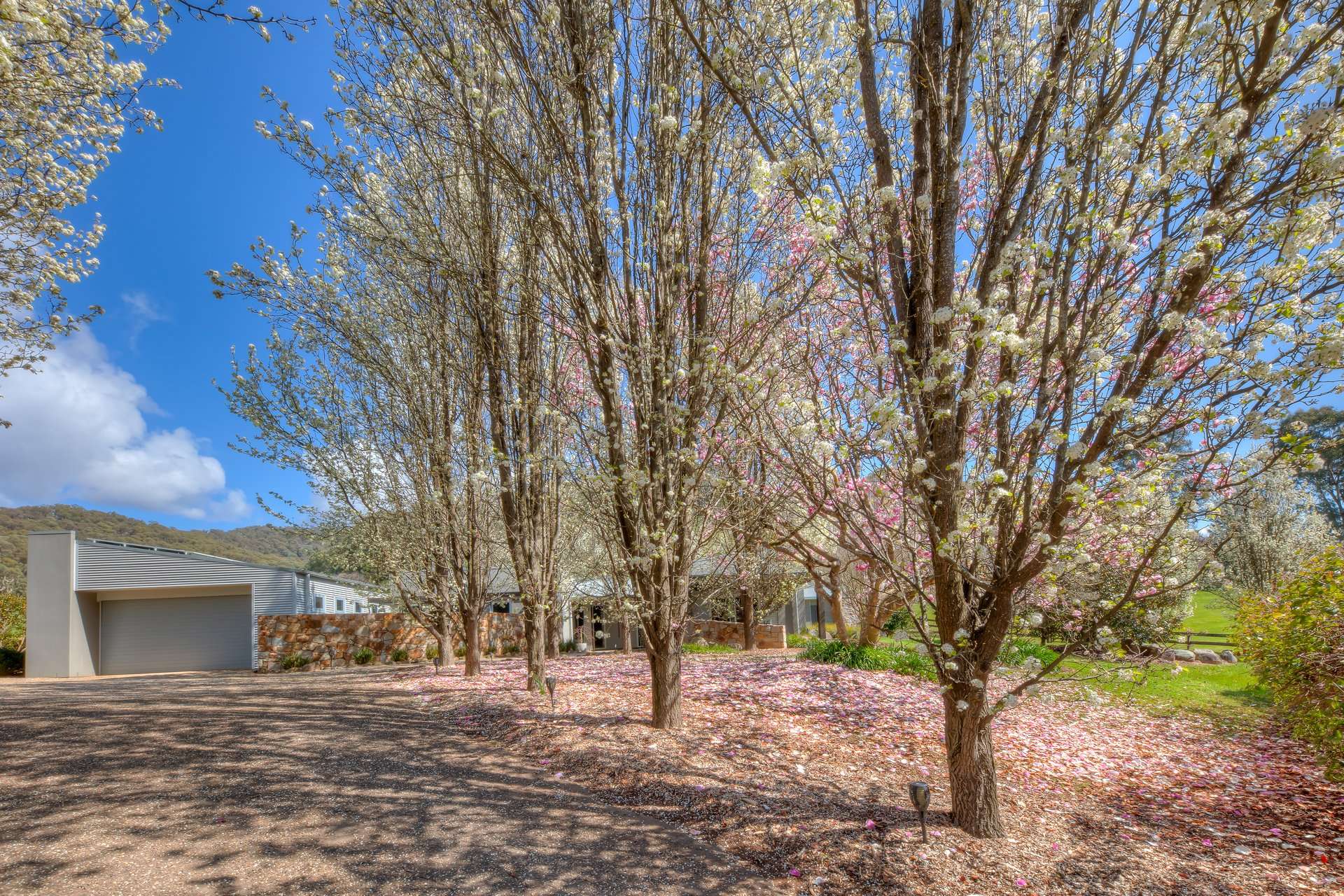 280 Hughes Lane, Eurobin For Sale by Farmbuy.com - image 27