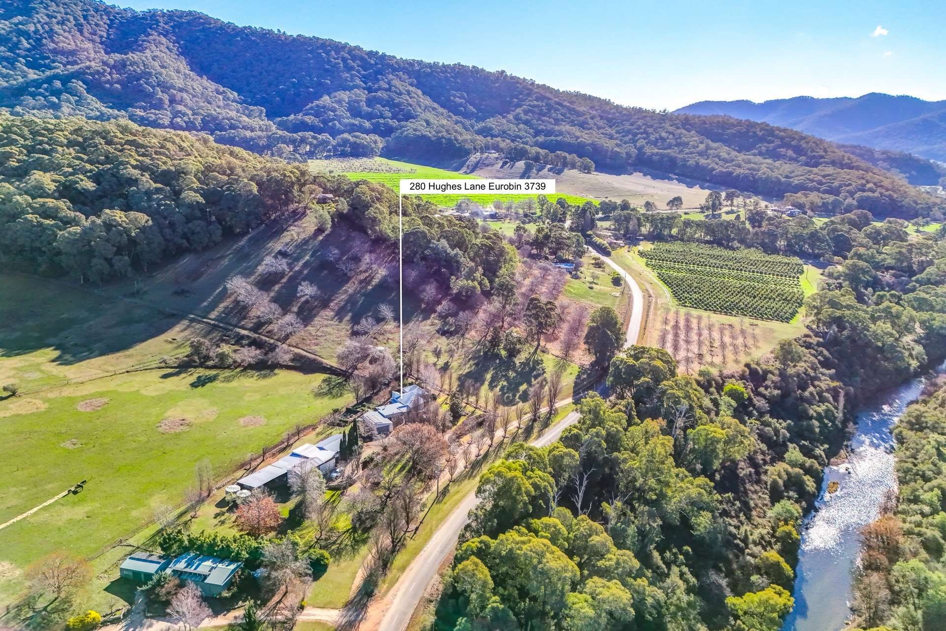 280 Hughes Lane, Eurobin For Sale by Farmbuy.com - image 31