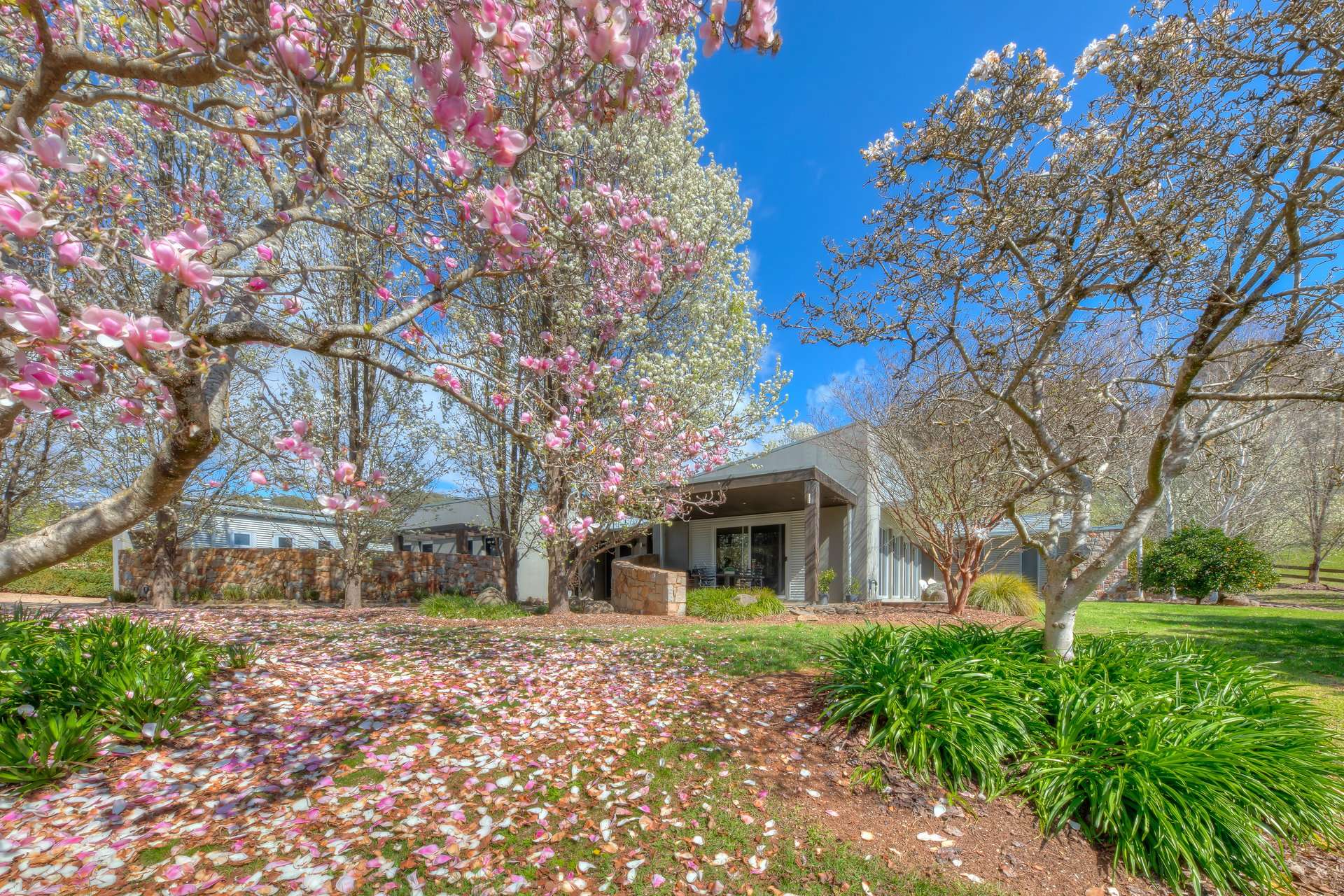 280 Hughes Lane, Eurobin For Sale by Farmbuy.com - image 3
