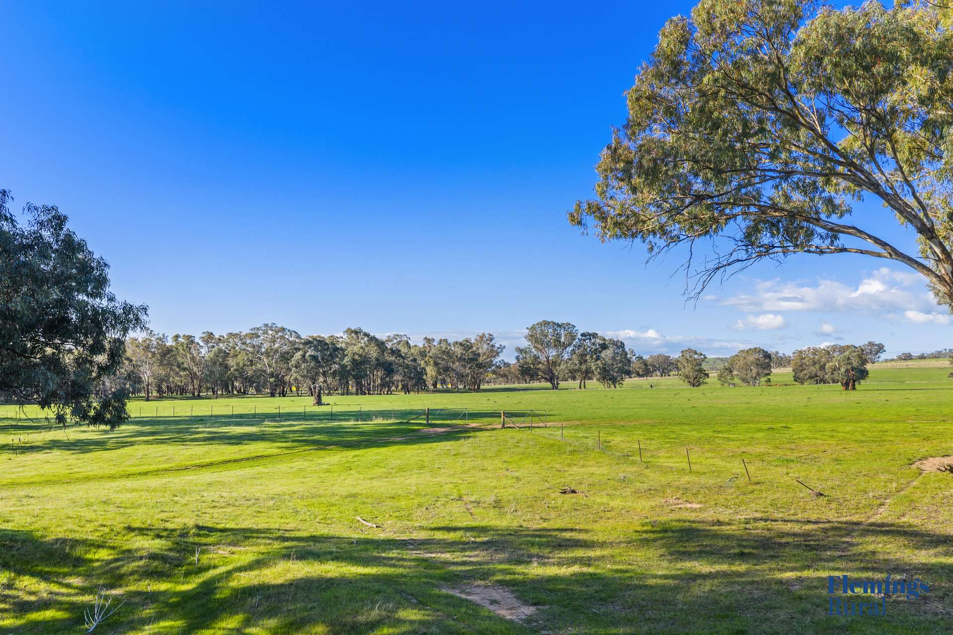 670 Old Cootamundra Road, Cootamundra Sold by Farmbuy.com - image 21