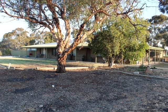 Allotment 92 Perponda Road, Karoonda For Sale by Farmbuy.com - image 21