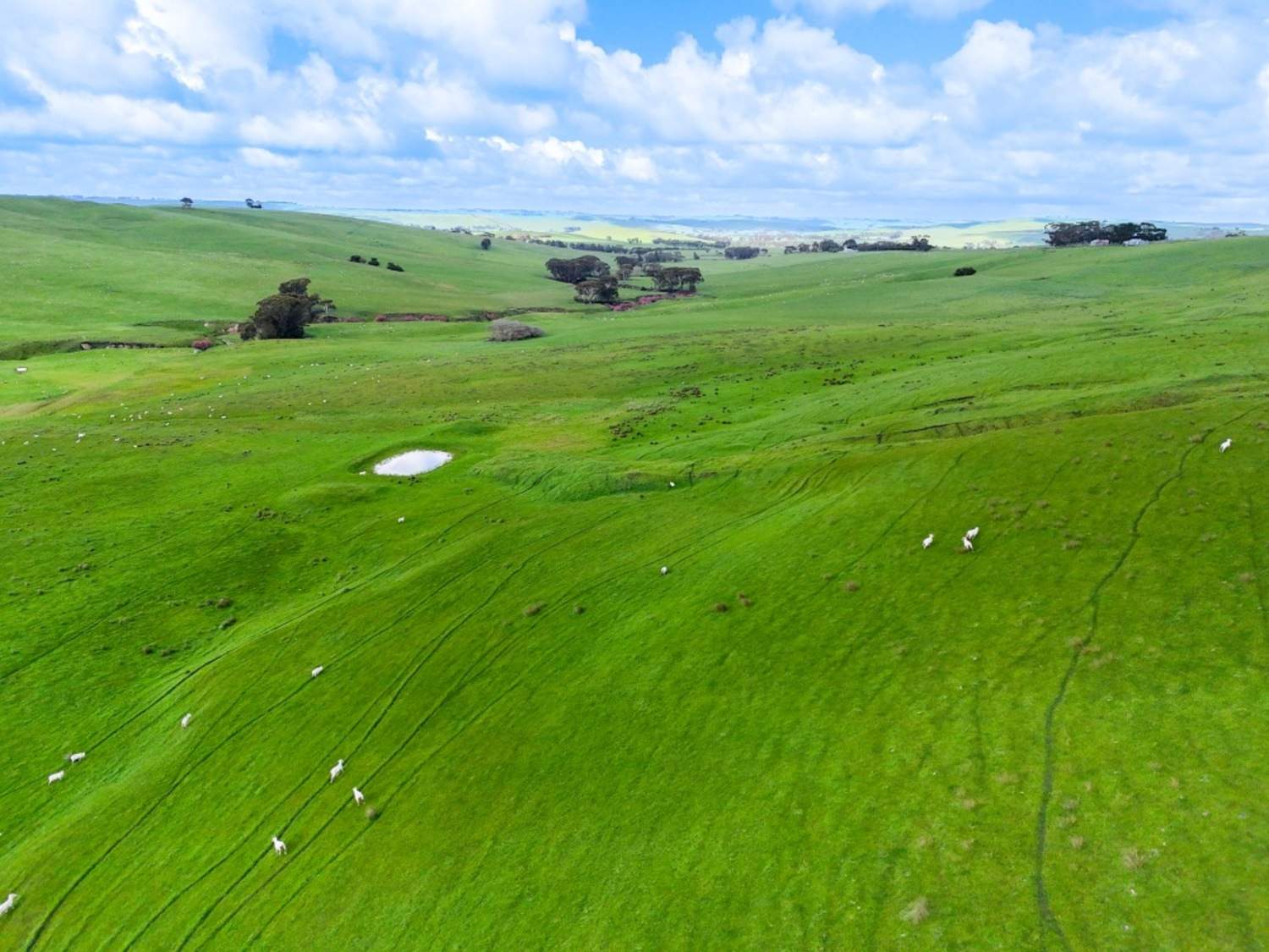 374 Balochile Road, Coleraine Sold by Farmbuy.com - image 7