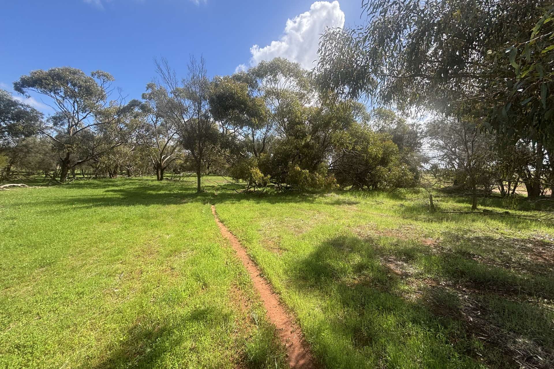 768 Nangerwalla Road, Nunierra Sold by Farmbuy.com - image 1