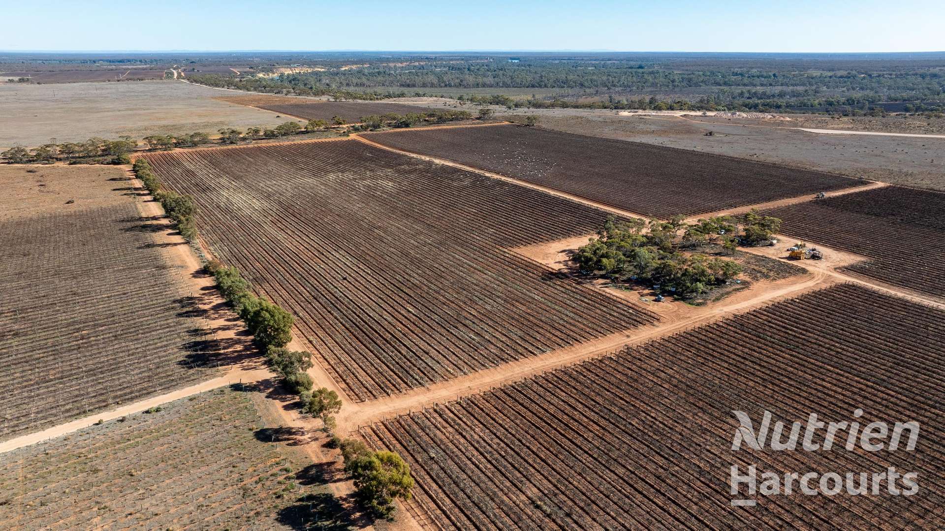 126 Riverboat Road, Cadell For Sale by Farmbuy.com - image 11