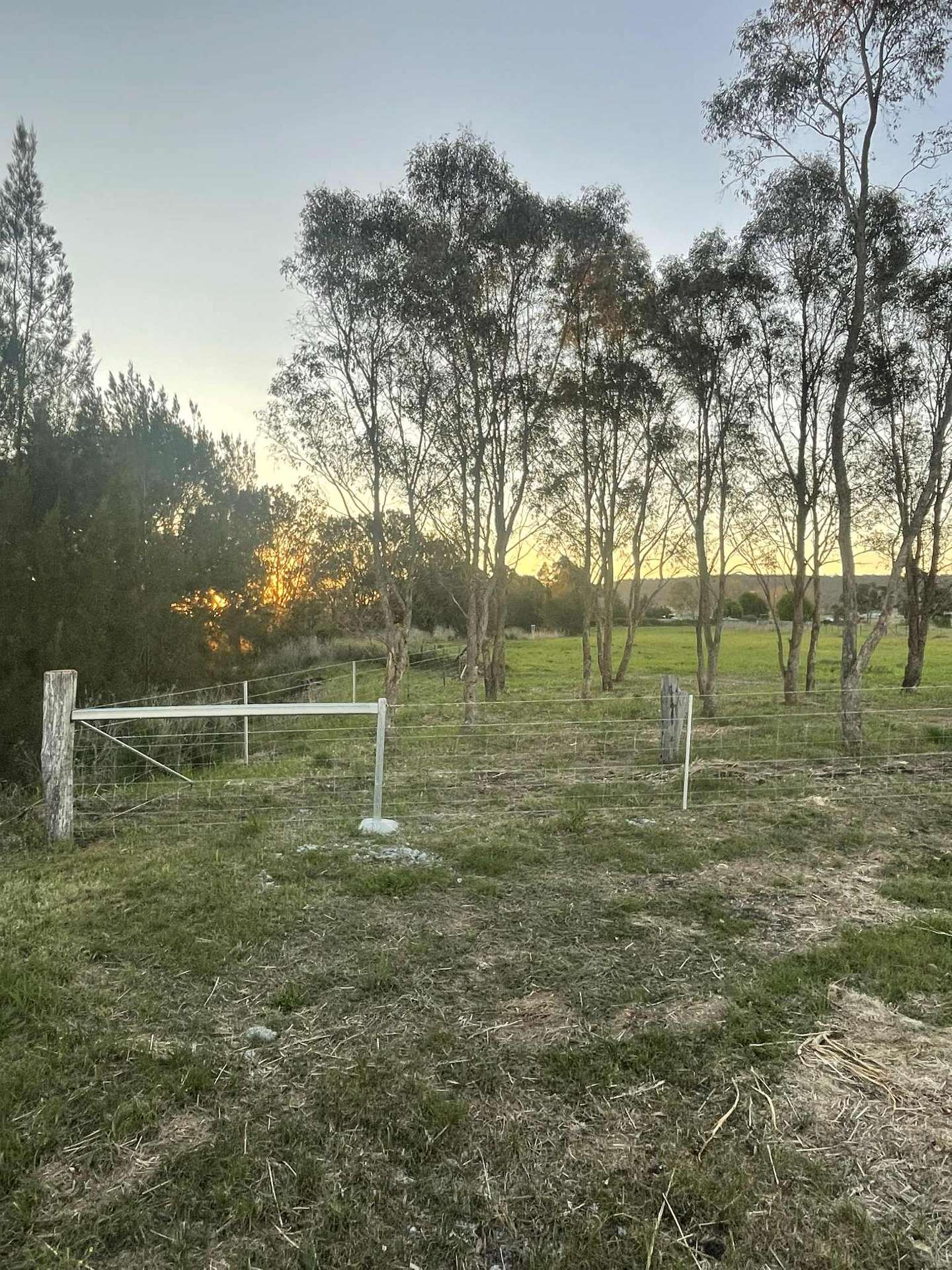 Lot 180, 112 Howards Road, Swan Creek Sold by Farmbuy.com - image 23