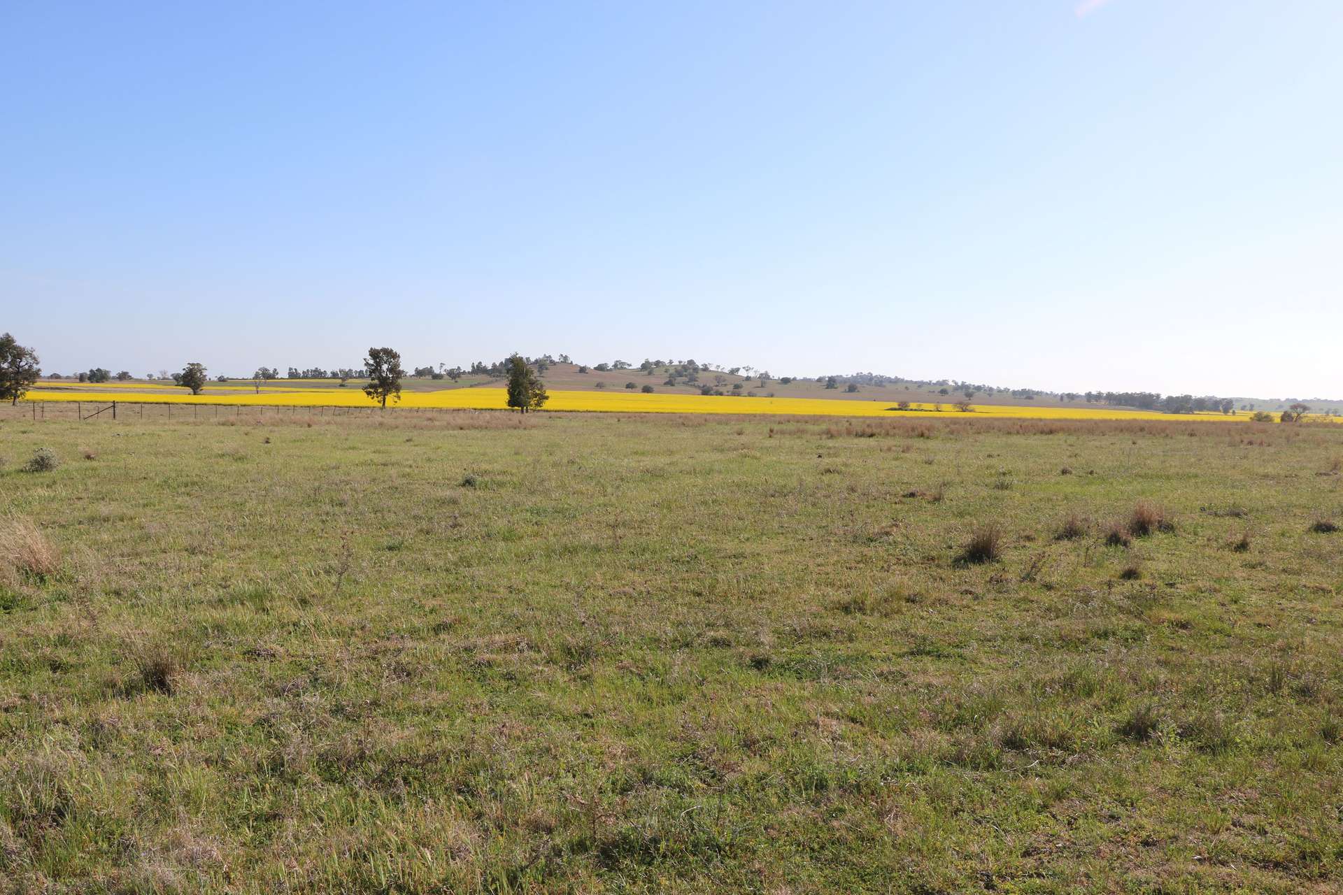 696 Back Trundle Road, Parkes For Sale by Farmbuy.com - image 14