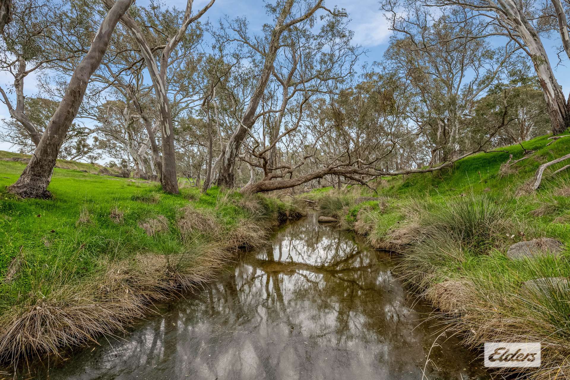 Lot 1,  Calder Highway, Ravenswood For Sale by Farmbuy.com - image 2