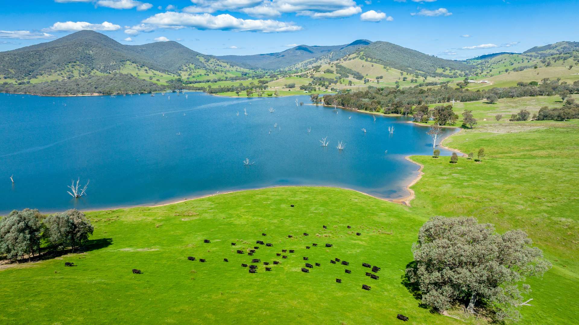 'Inglebrae'/1523 Murray River Rd, Talgarno For Sale by Farmbuy.com - image 18