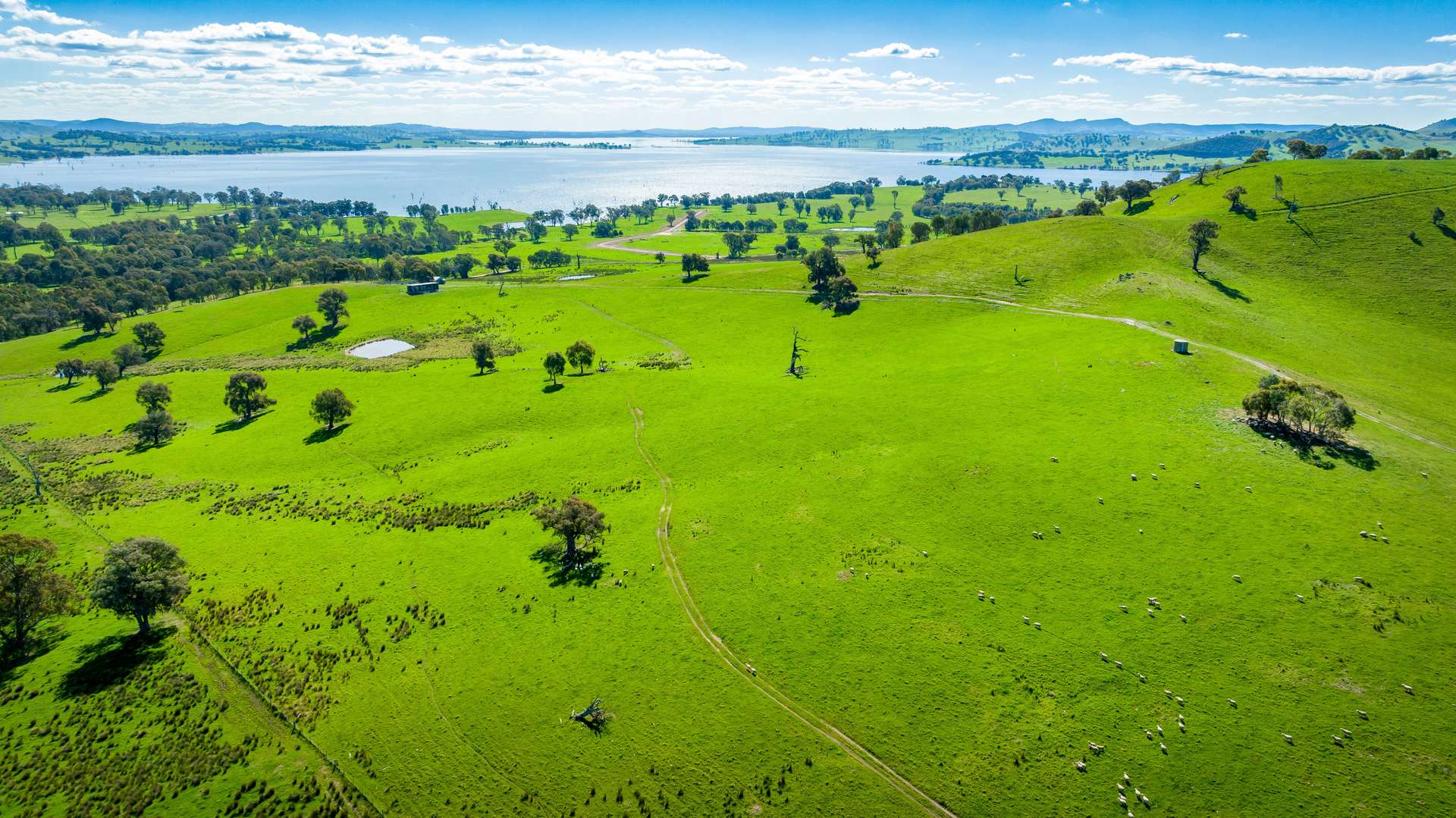 'Inglebrae'/1523 Murray River Rd, Talgarno For Sale by Farmbuy.com - image 24