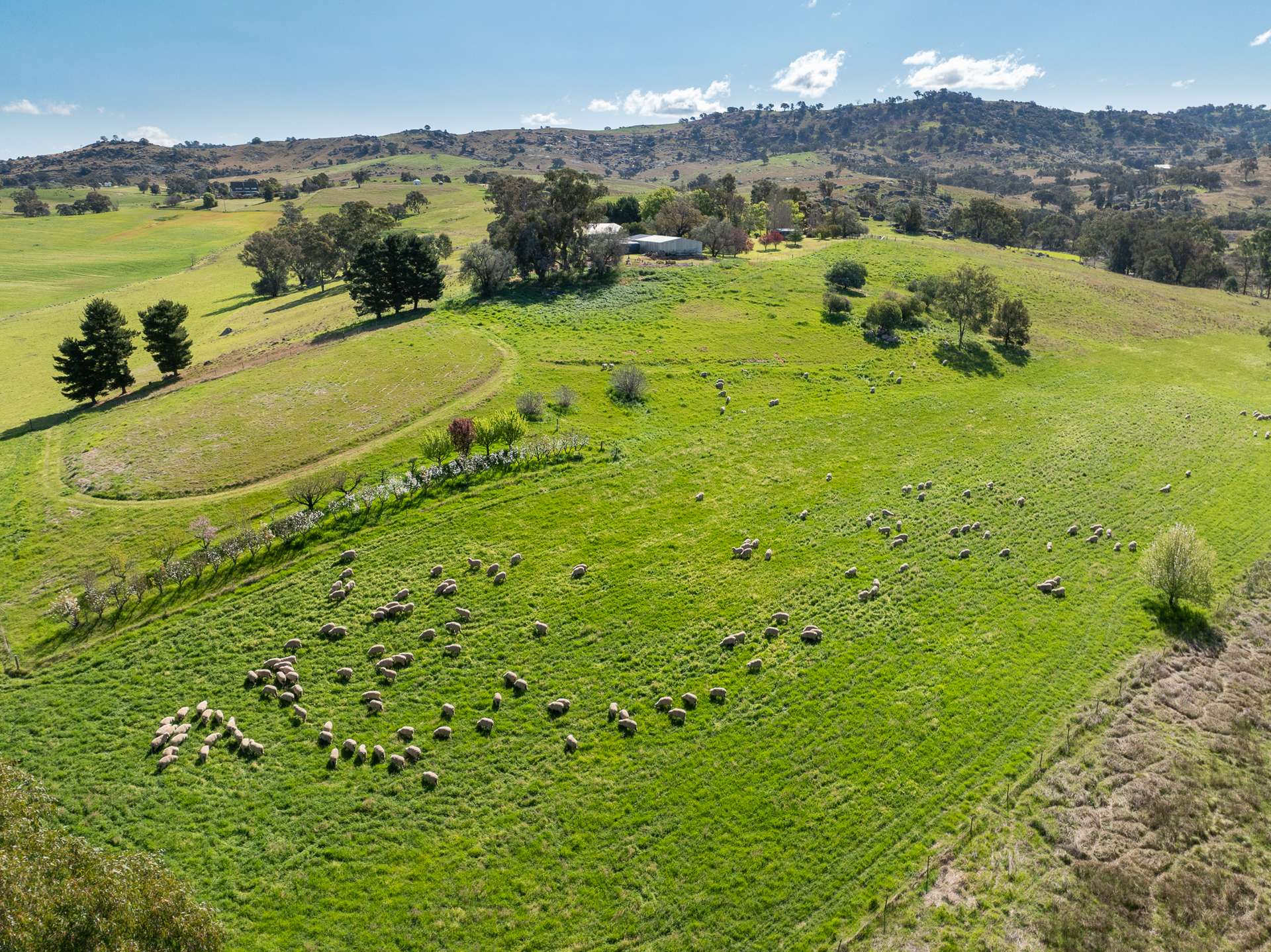 'Angle Burn' 101 Clearview Road, Darbys Falls Sold by Farmbuy.com - image 15