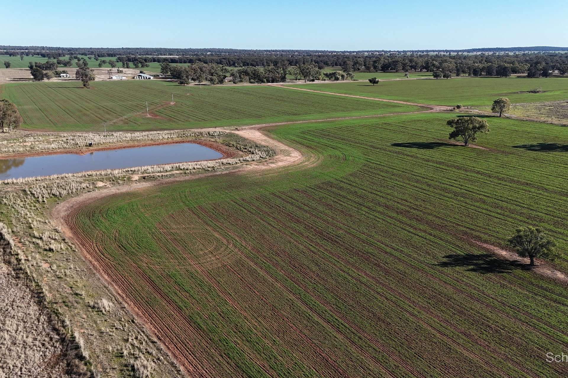 195 Curra Lane, Peak Hill For Sale by Farmbuy.com - image 2