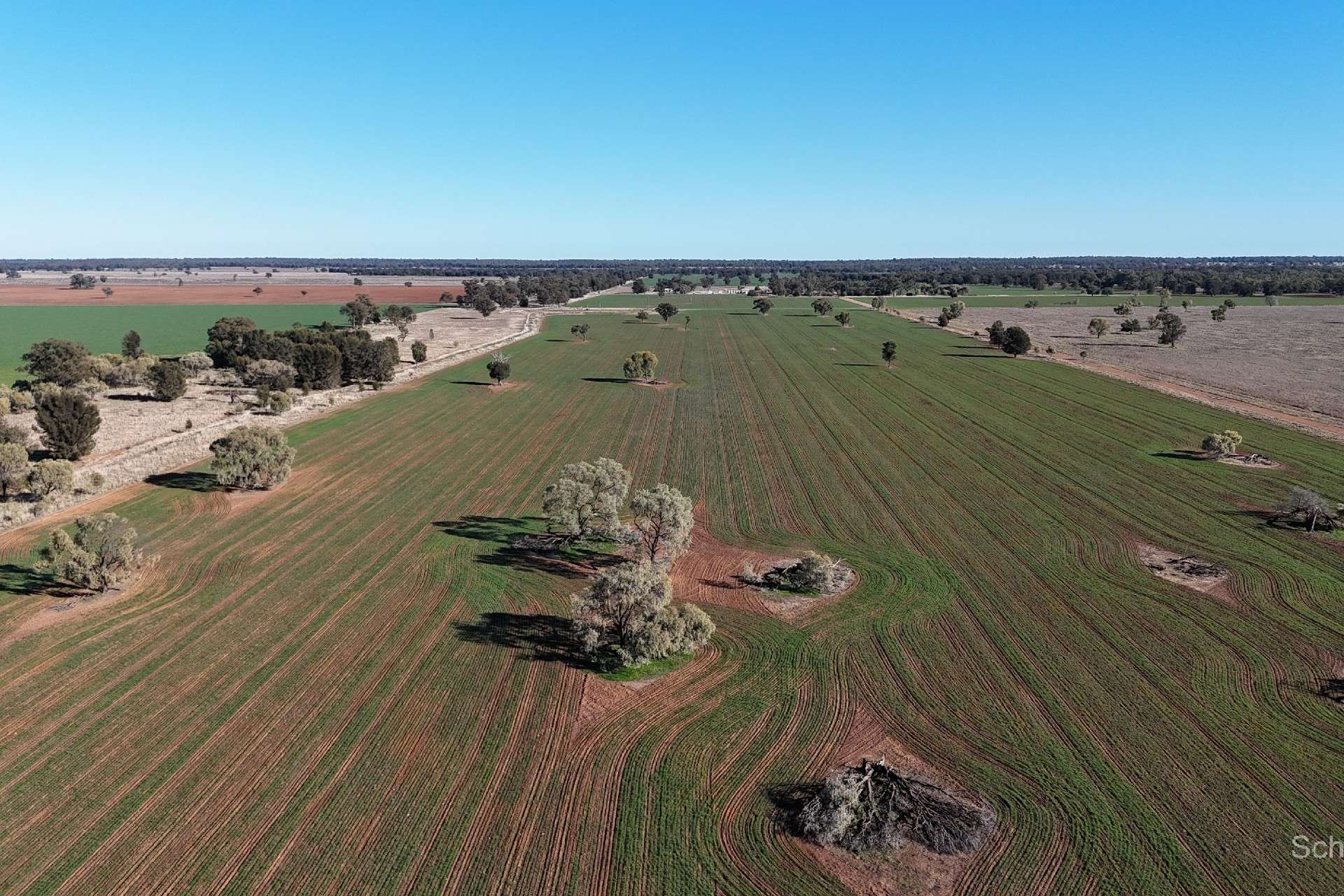 195 Curra Lane, Peak Hill For Sale by Farmbuy.com - image 8