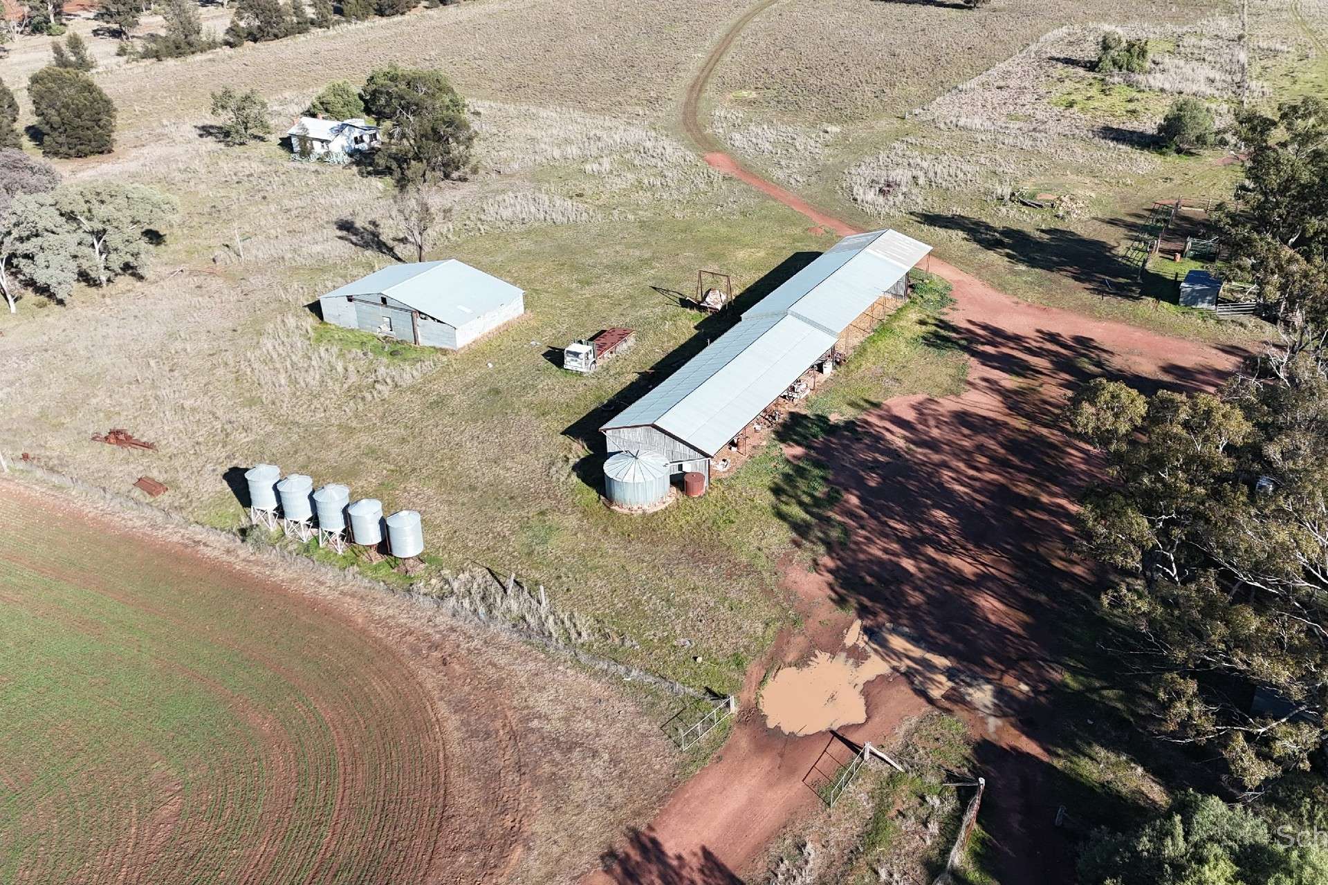 195 Curra Lane, Peak Hill For Sale by Farmbuy.com - image 3