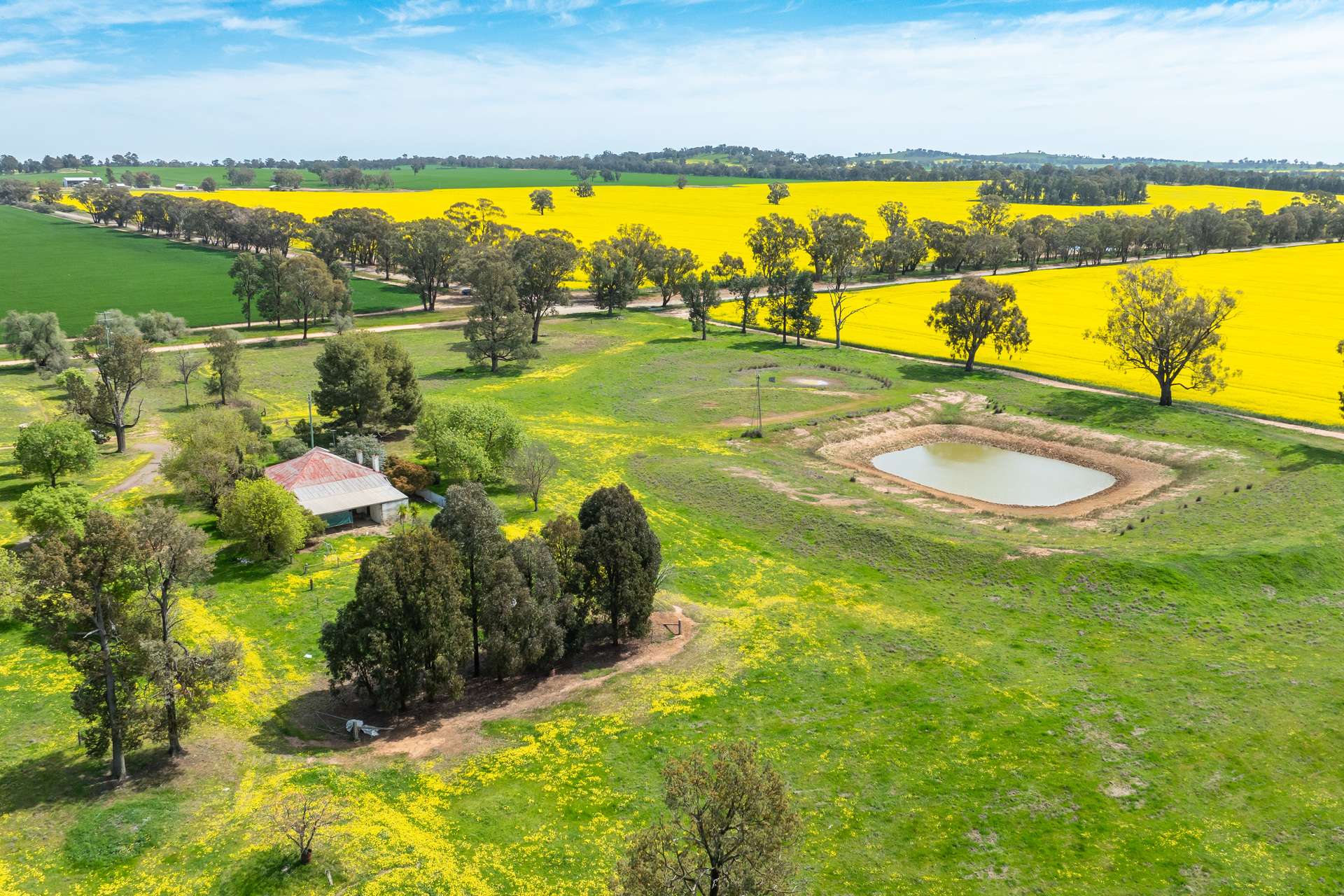 596 Gum Swamp Road, Balldale Sold by Farmbuy.com - image 4