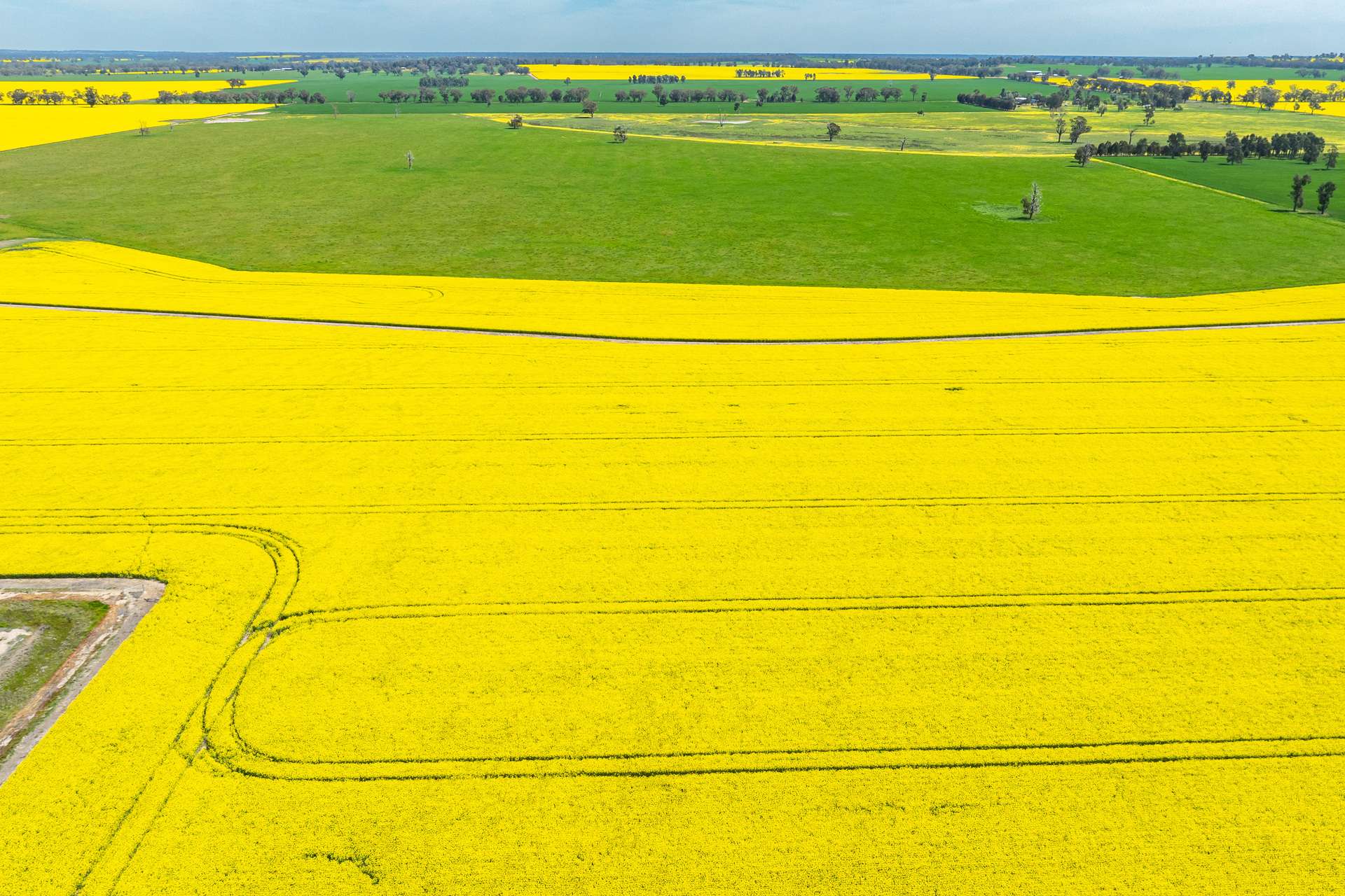 596 Gum Swamp Road, Balldale Sold by Farmbuy.com - image 9